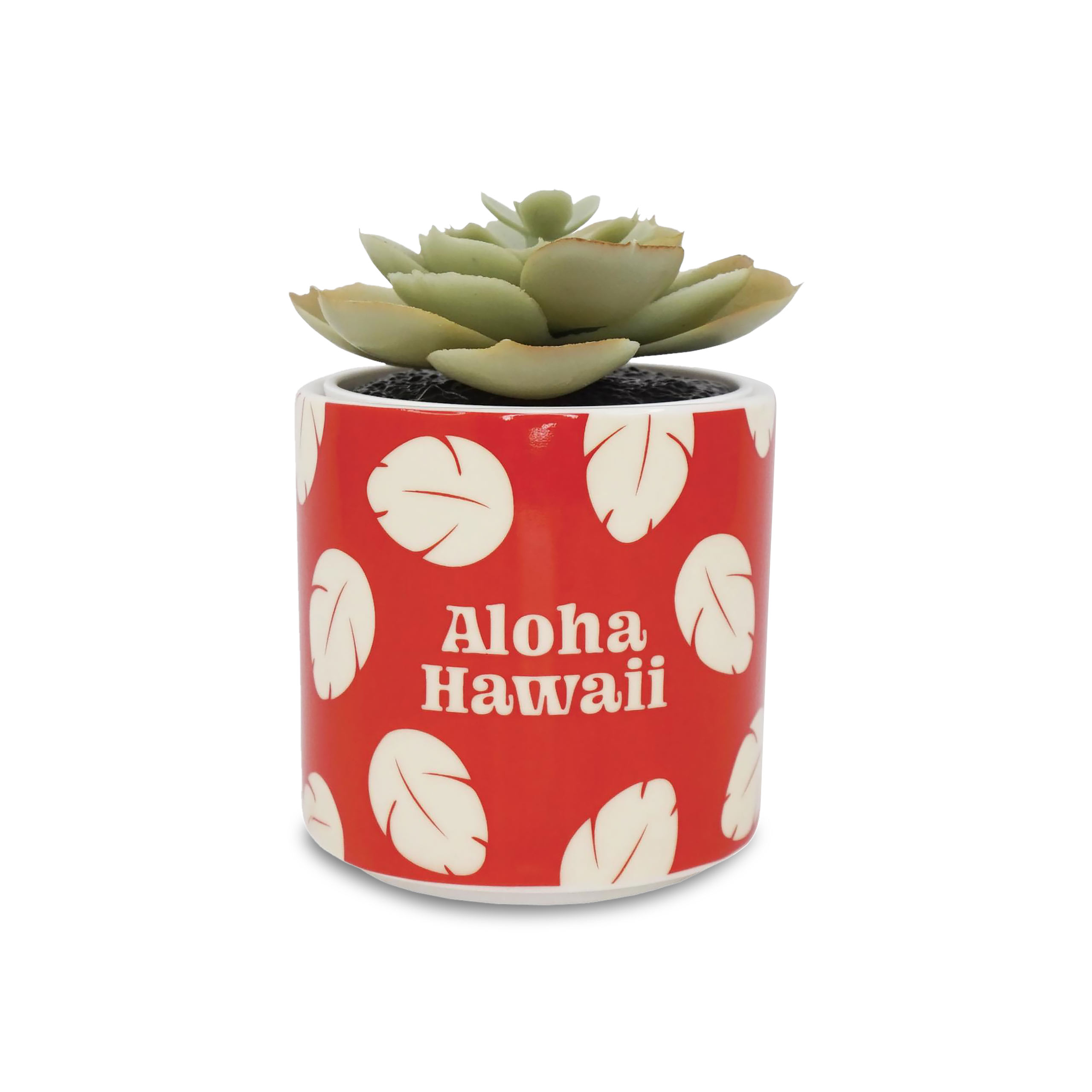 Lilo & Stitch - Aloha Hawaii Mini Blumentopf