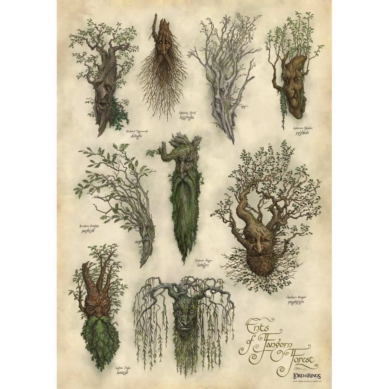 Il Signore degli Anelli - Fangorn Stampa artistica