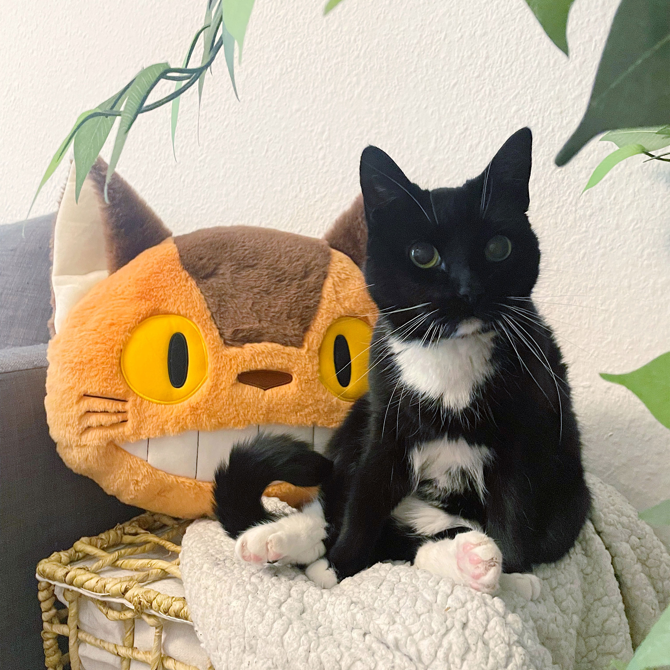 Totoro - Coussin en Peluche Catbus Nakayoshi