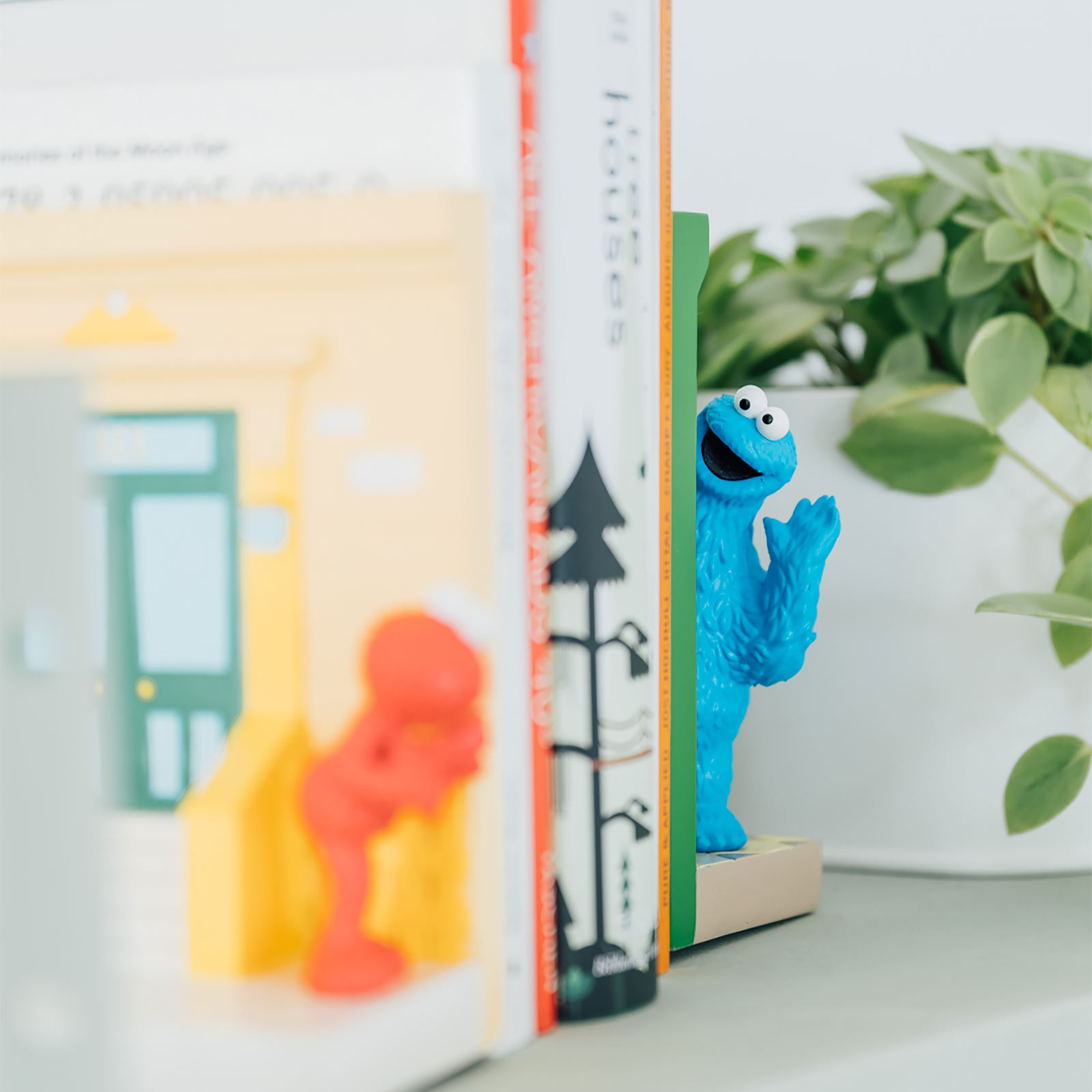 Sesame Street - Cookie and Elmo Bookends