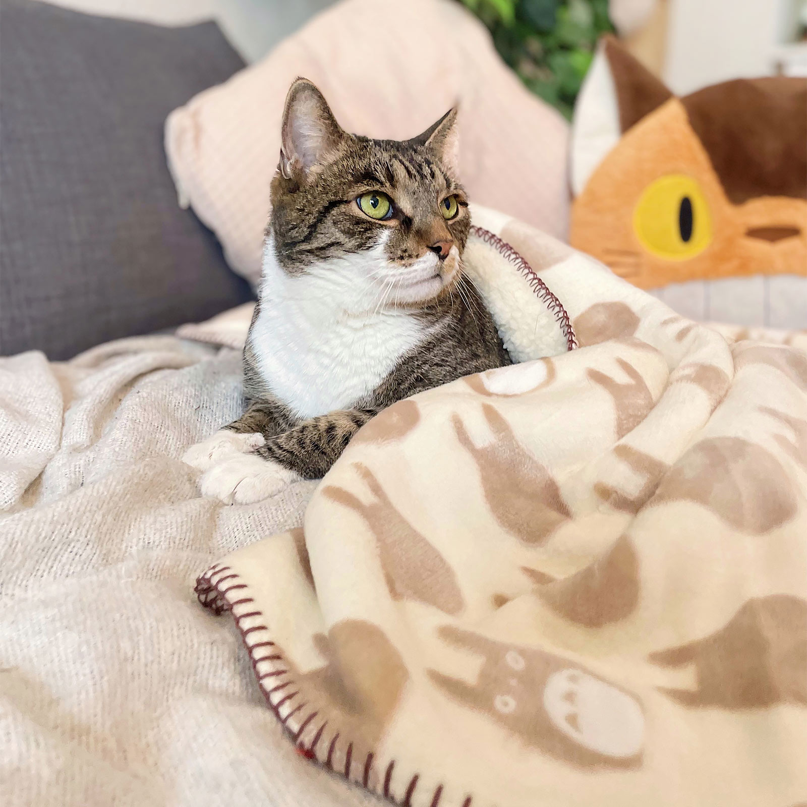 Totoro - Silhouette Plush Blanket with Teddy Fleece