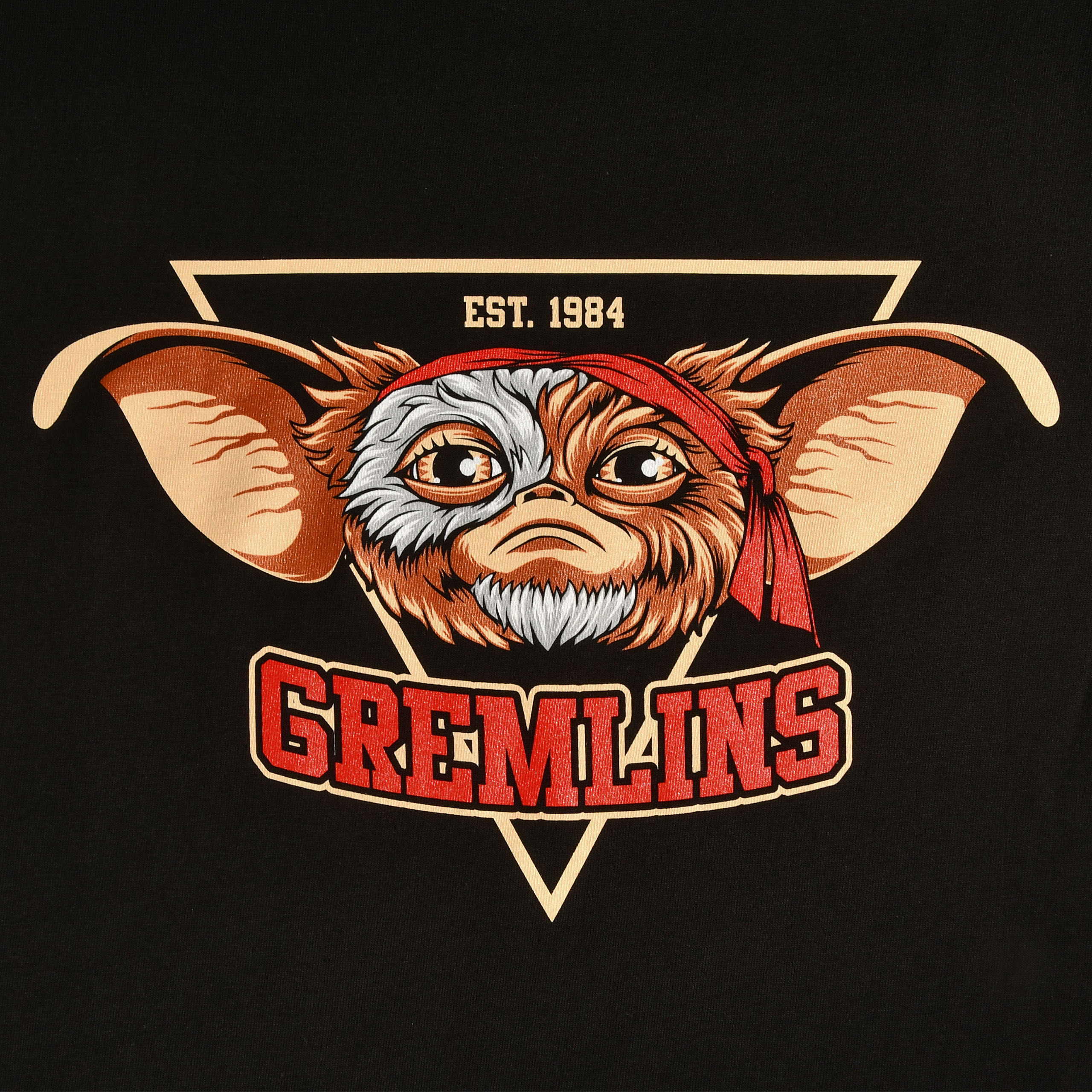 Gremlins Est. 1984 zwart T-shirt