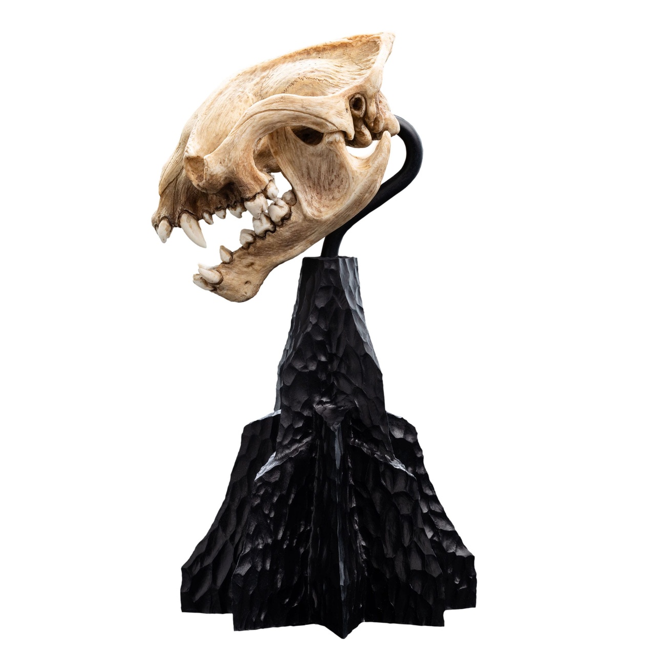 Herr der Ringe Mini Statue Skull of a Warg 20 cm