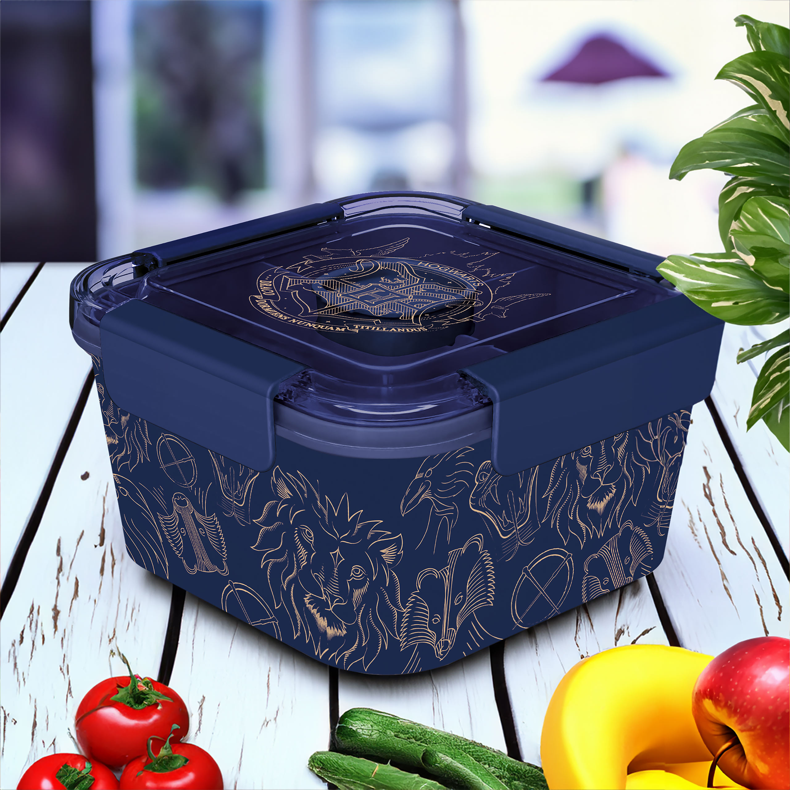 Harry Potter - Gouden Magische Bento Lunchbox