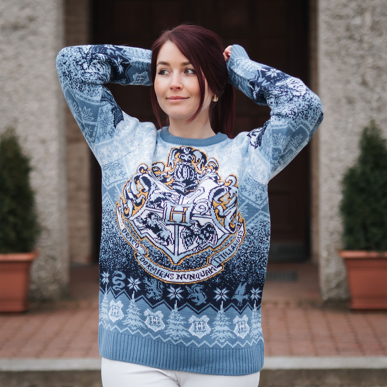 Harry Potter - Hogwarts Gebreide Trui