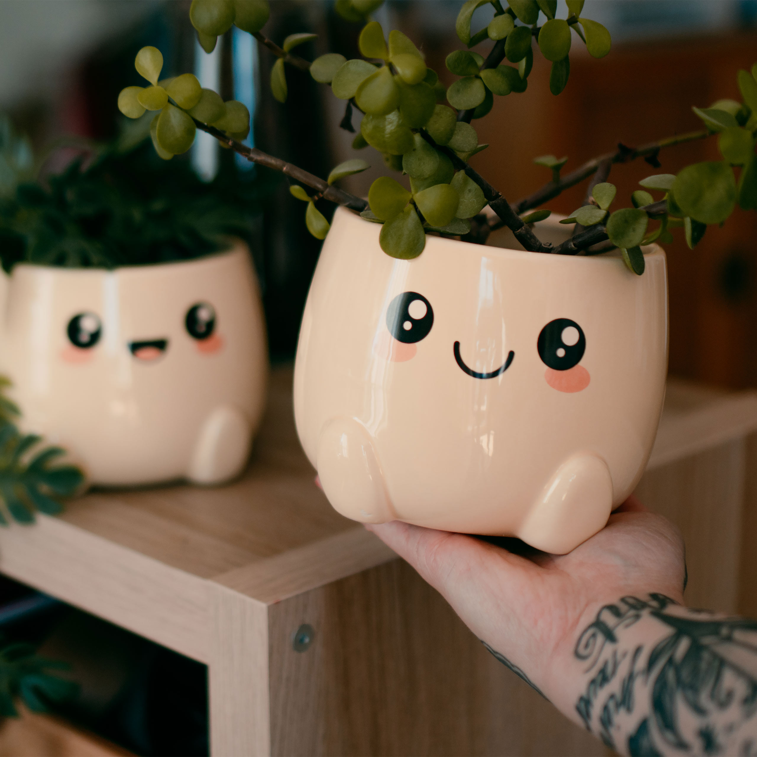 Chibi Chow Blumentöpfe 2er Set
