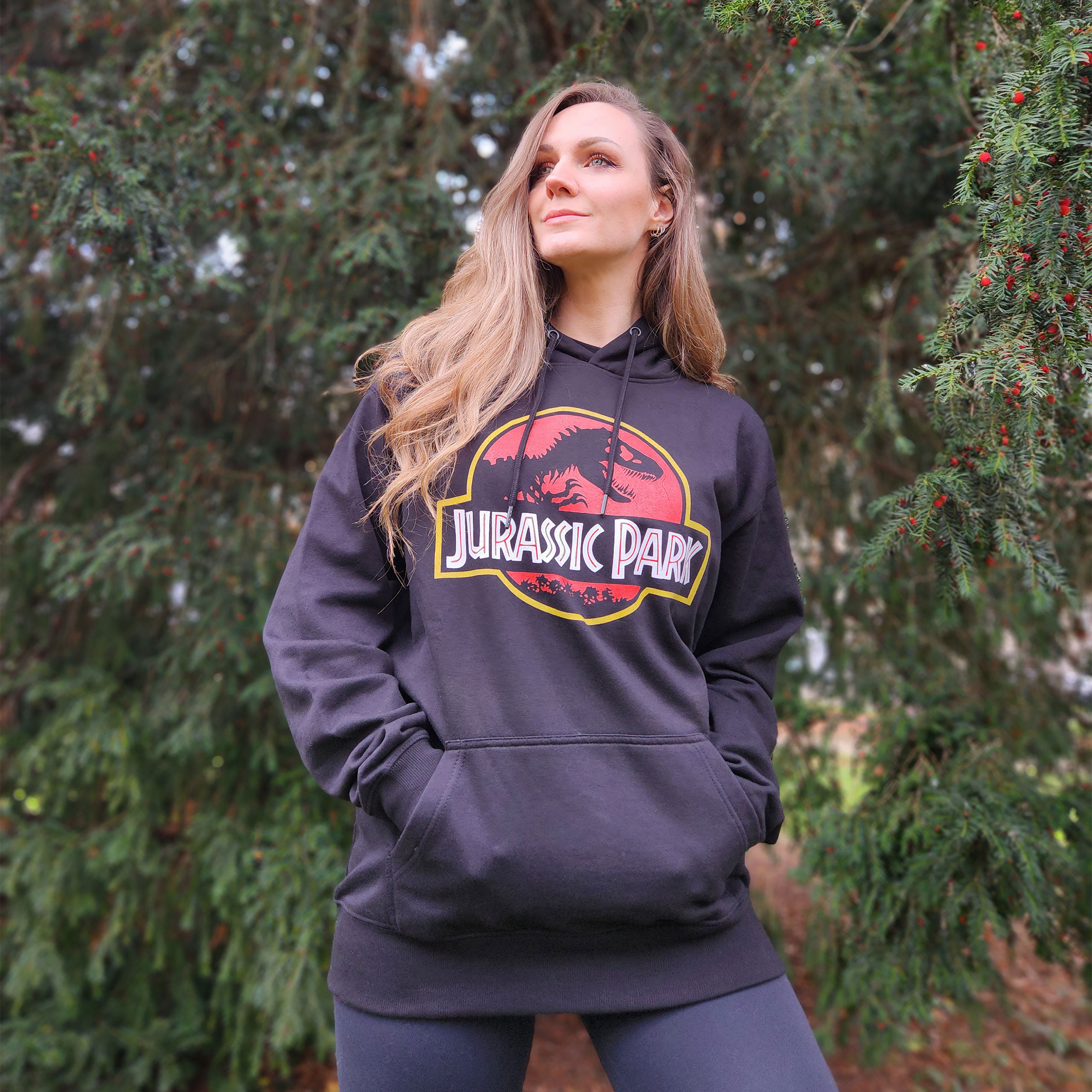 Jurassic Park - Movie Logo Hoodie schwarz