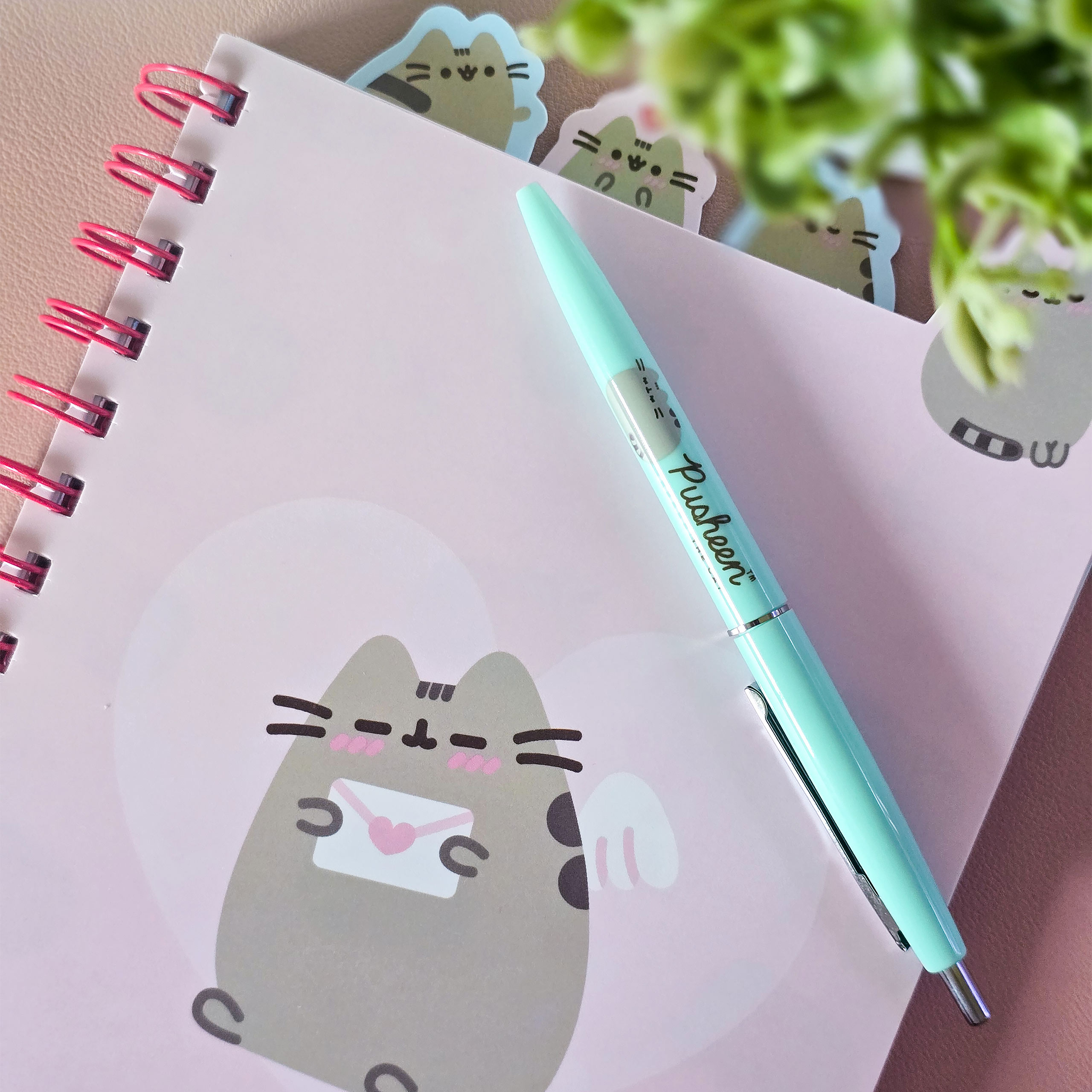 Pusheen - You're Sweet Carnet Spirale