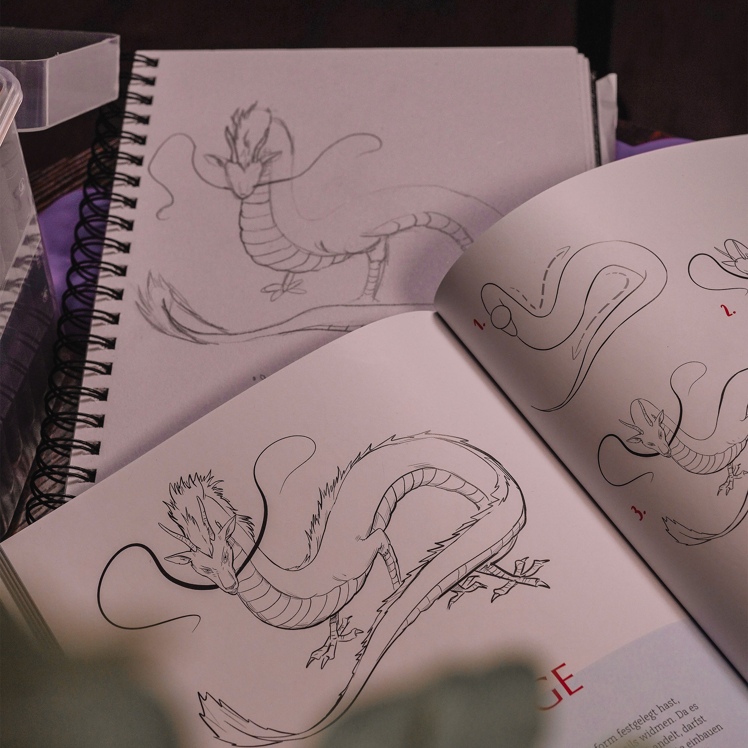 Den inofficiella Ghibli‑ritboken