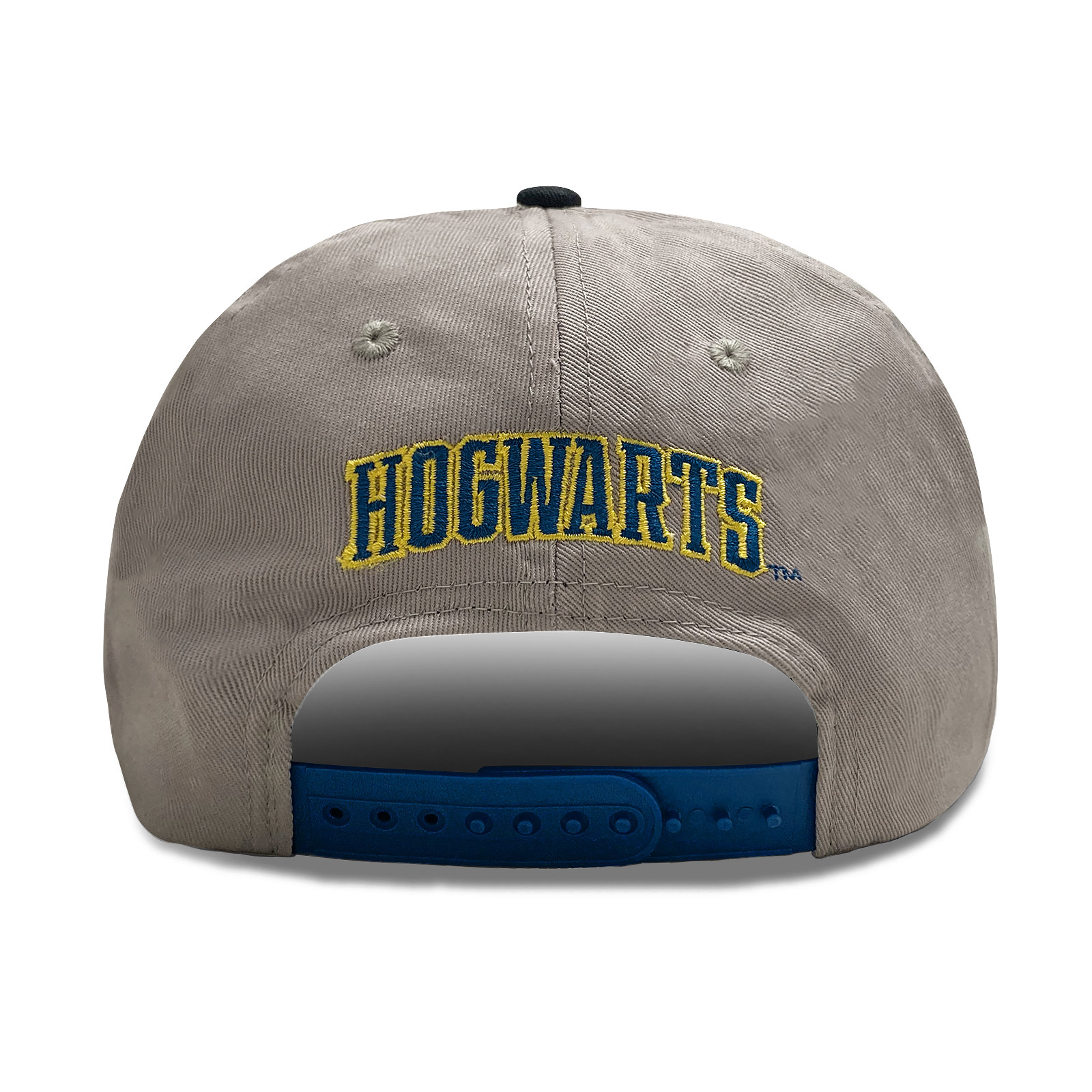 Harry Potter - Ravenclaw Terry Logo Snapback Cap