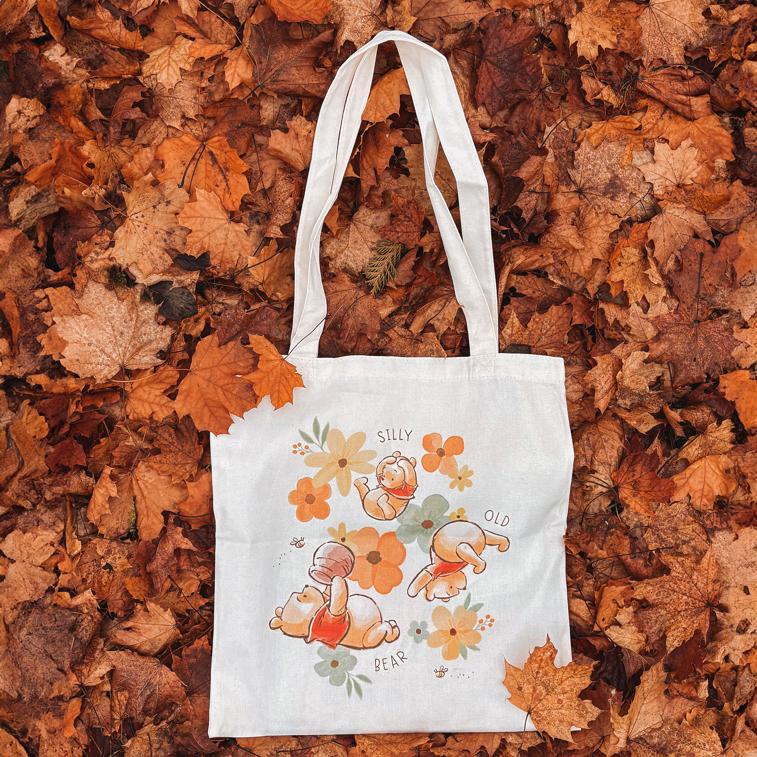 Winnie de Poeh - Silly Old Bear Tas