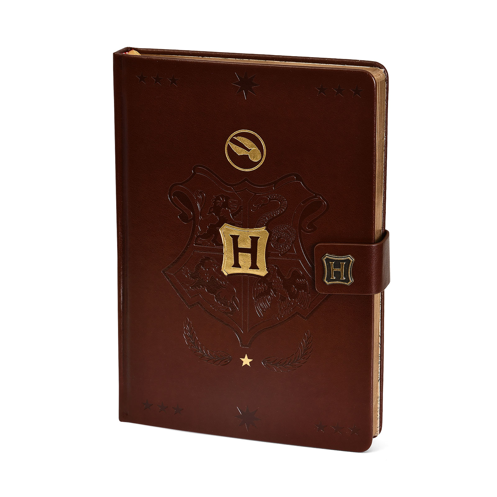 Harry Potter - Hogwarts Quidditch Premium Notebook A5