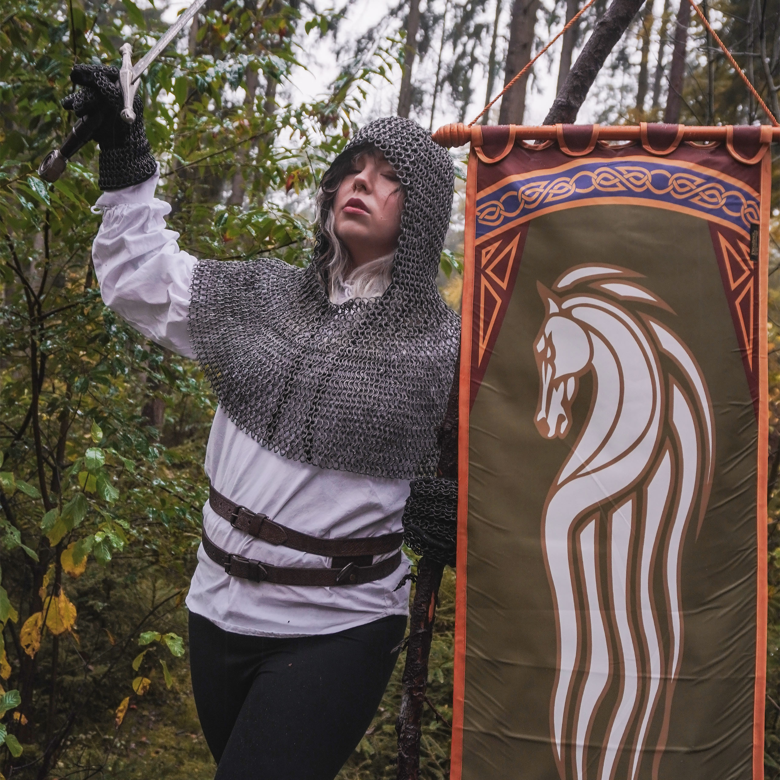 Il Signore degli Anelli - Stendardo di Rohan