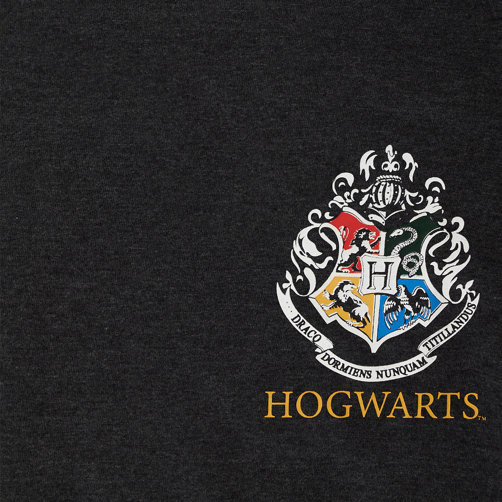T-shirt femme surdimensionné Hufflepuff Seeker Diggory Gris - Harry Potter