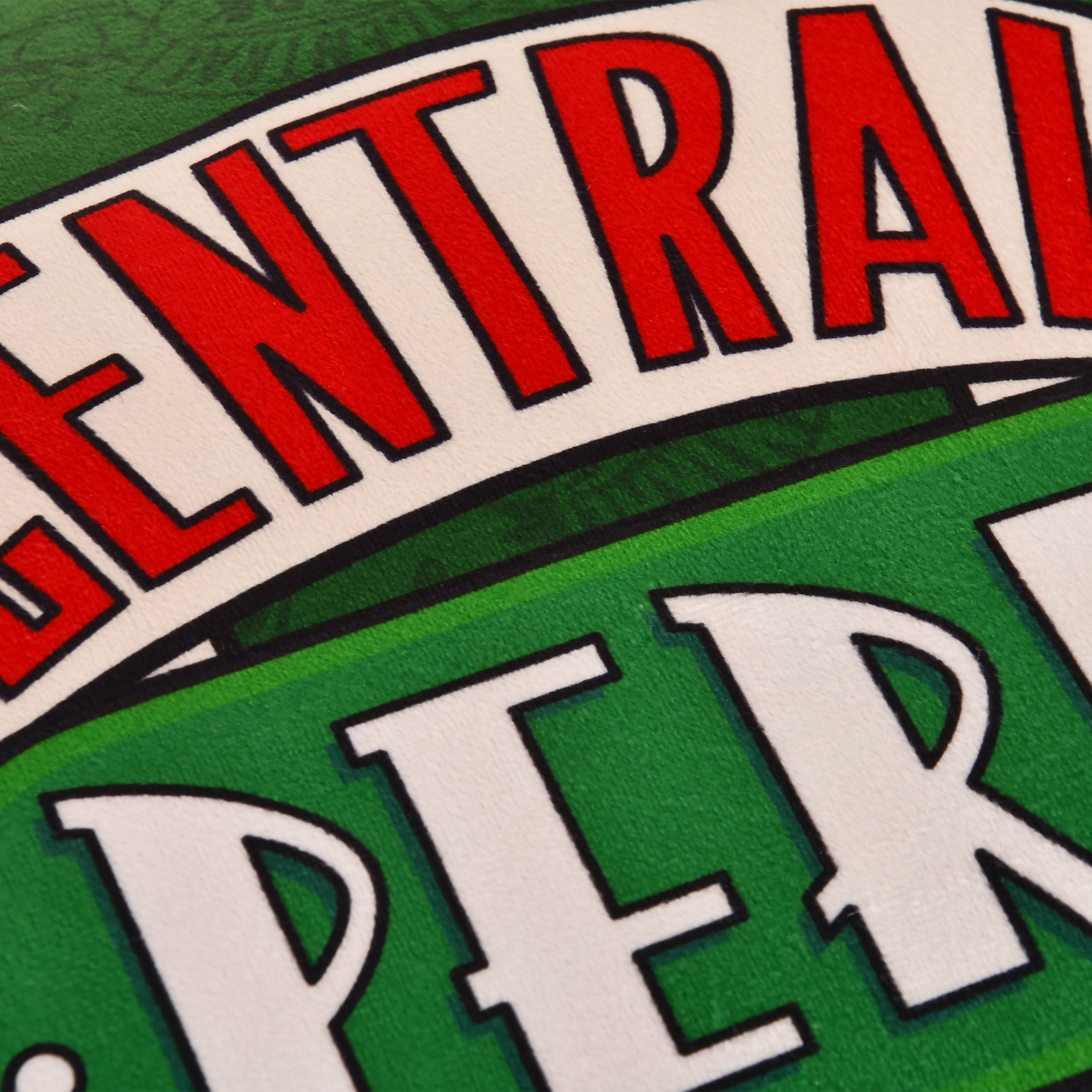 Friends - Central Perk Kussen Groen