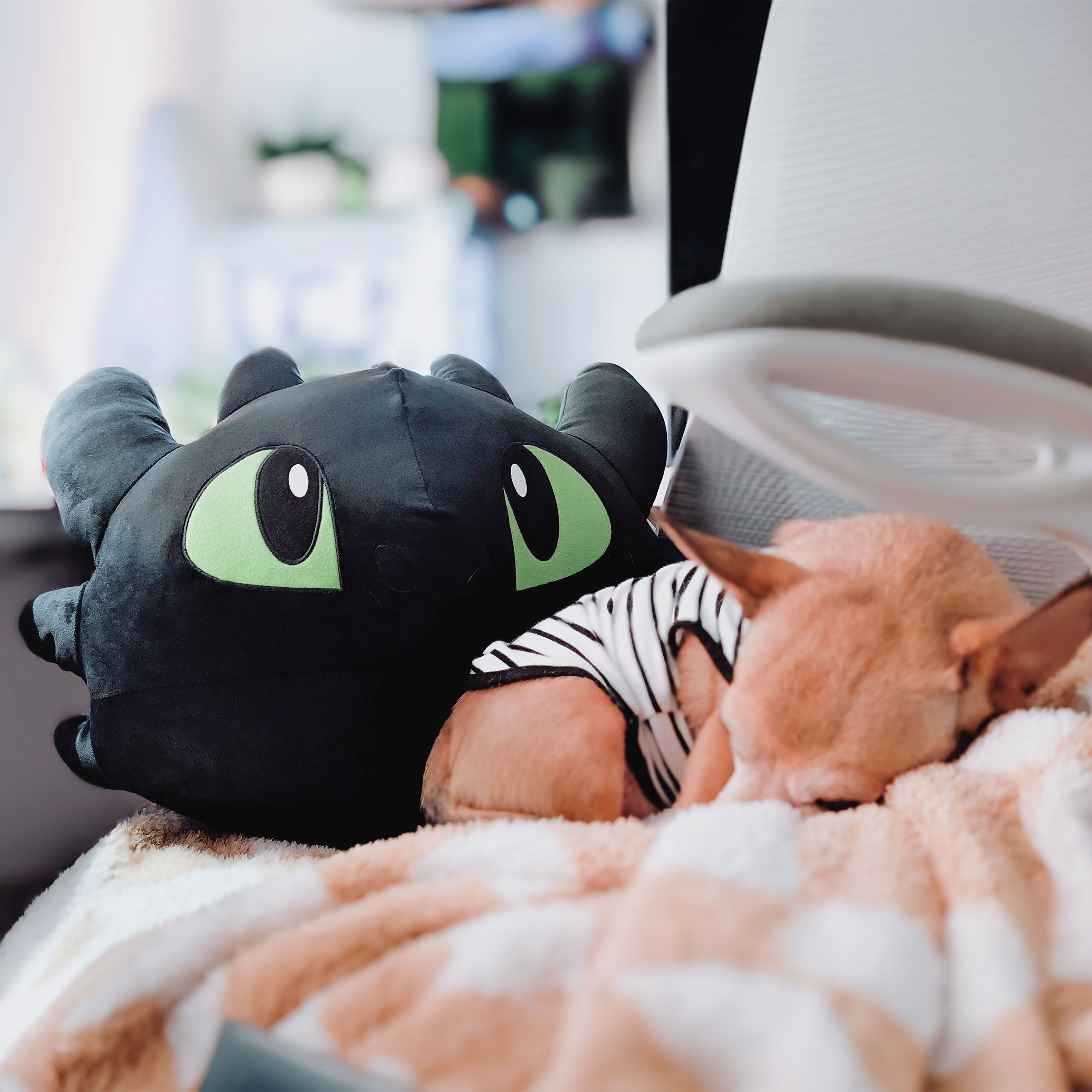 Cómo entrenar a tu dragón - Cojín Desdentao