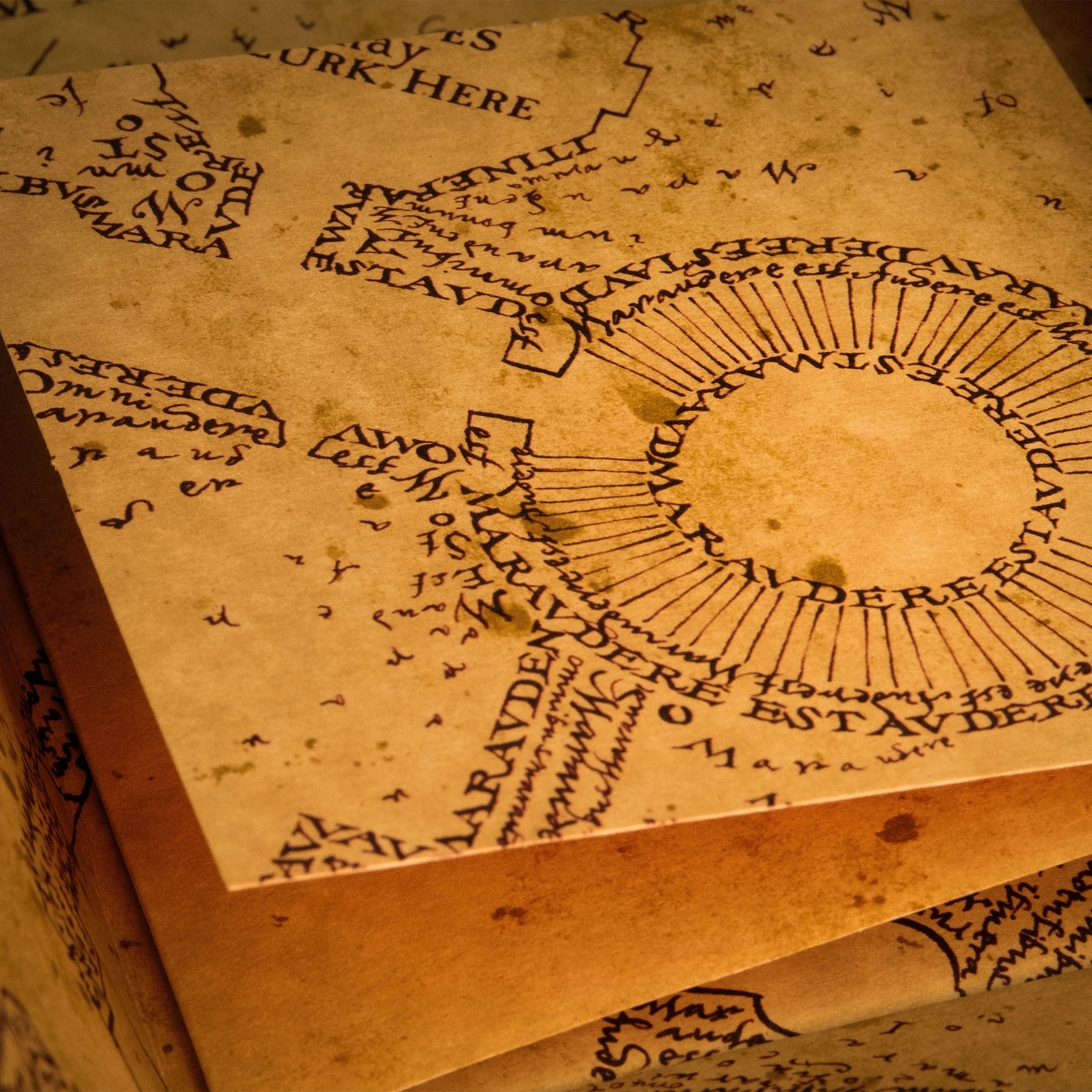 The Marauder's Map including display