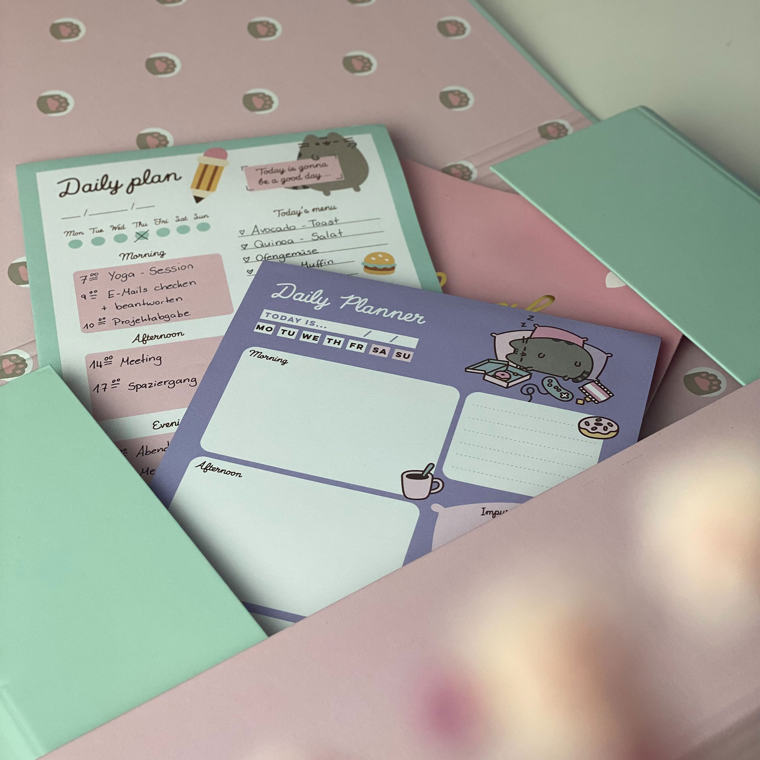 Pusheen - Ice cream Document Folder