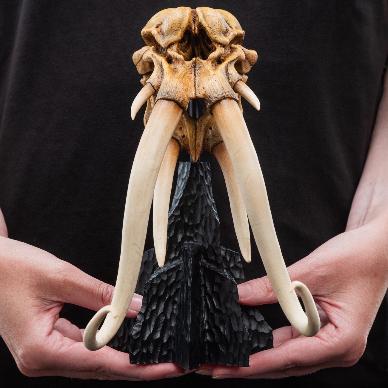 Le Seigneur des Anneaux - Crâne de Mumak Mini Statue
