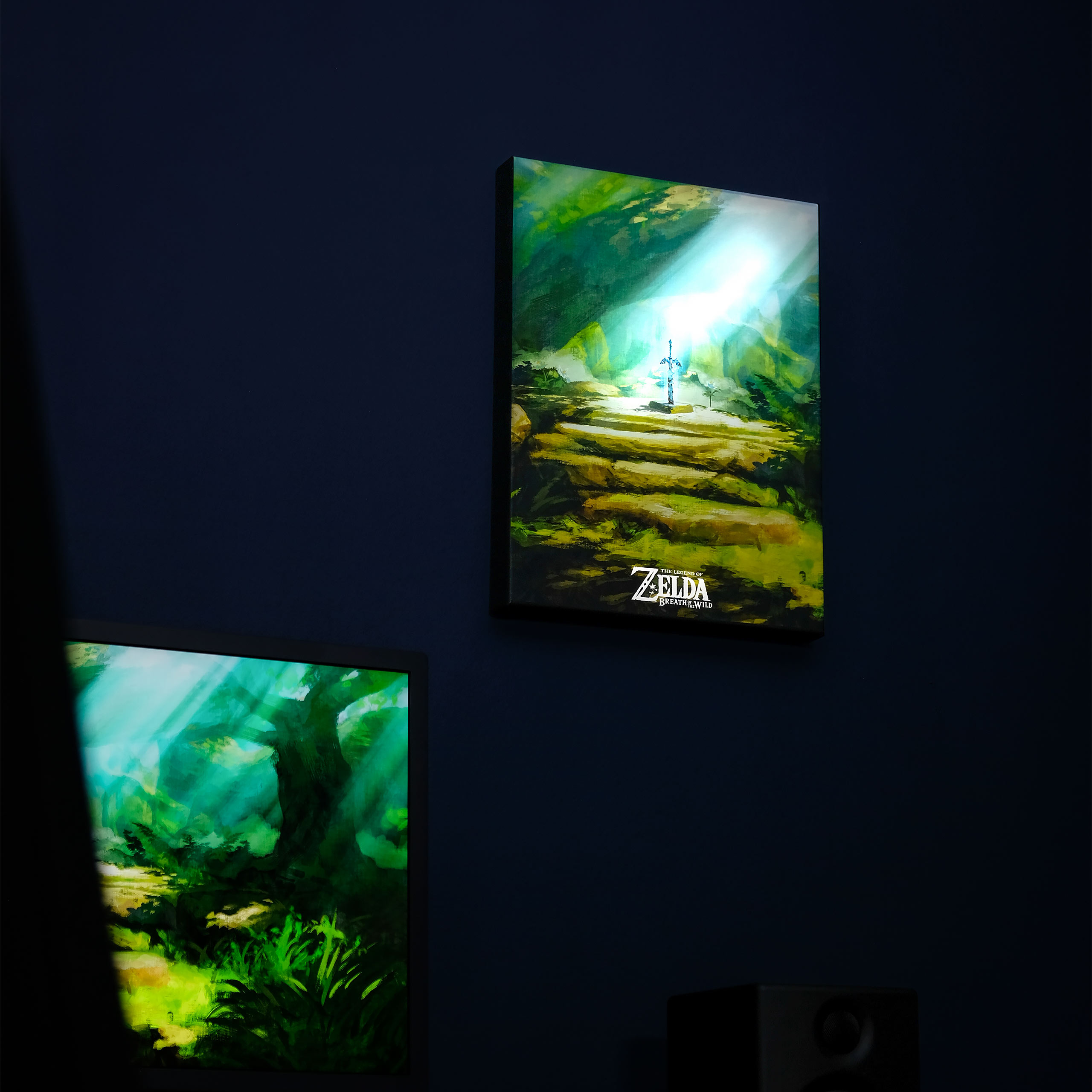 Zelda - Masterschwert Wandbild mit Licht