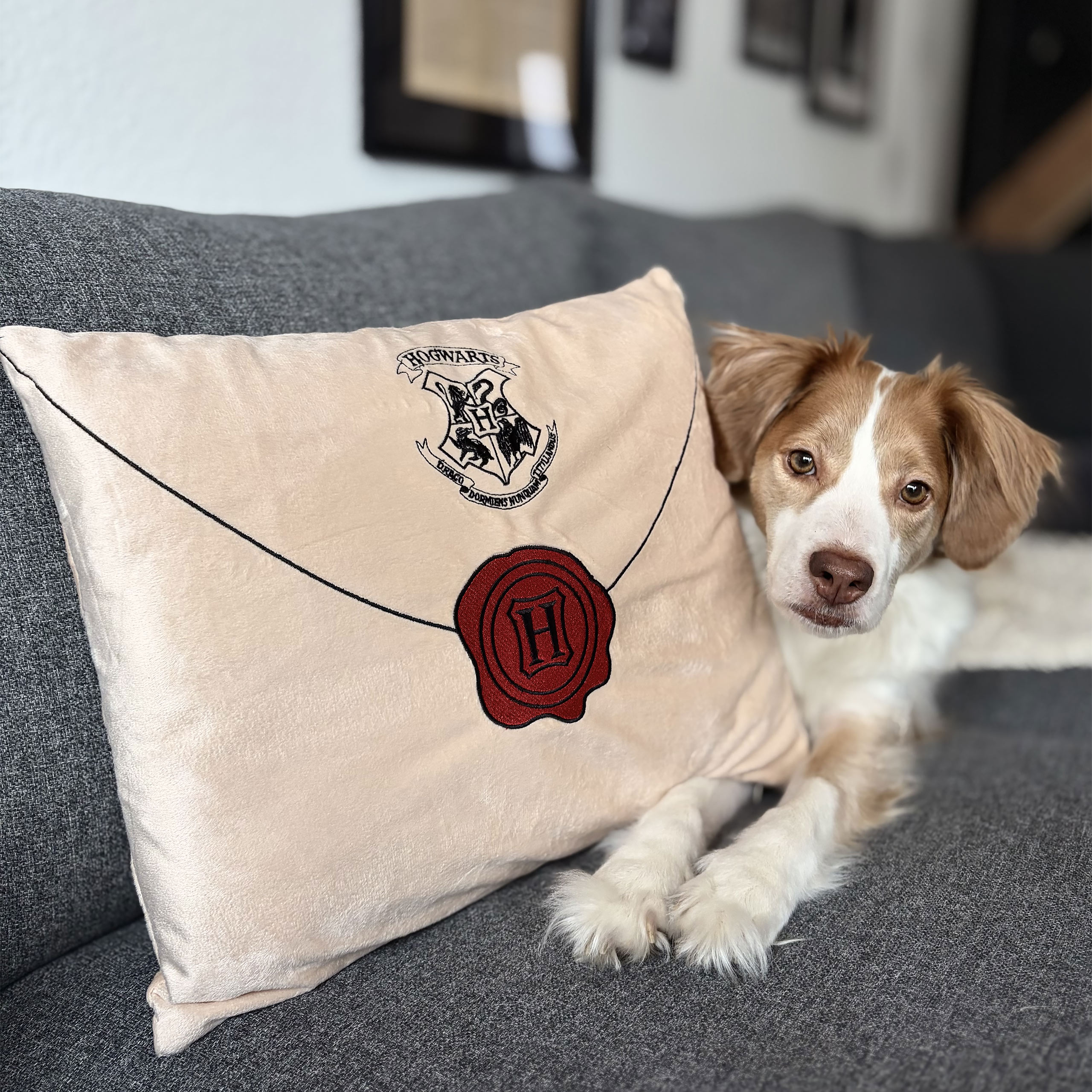 Harry Potter - Cojín Carta de Hogwarts