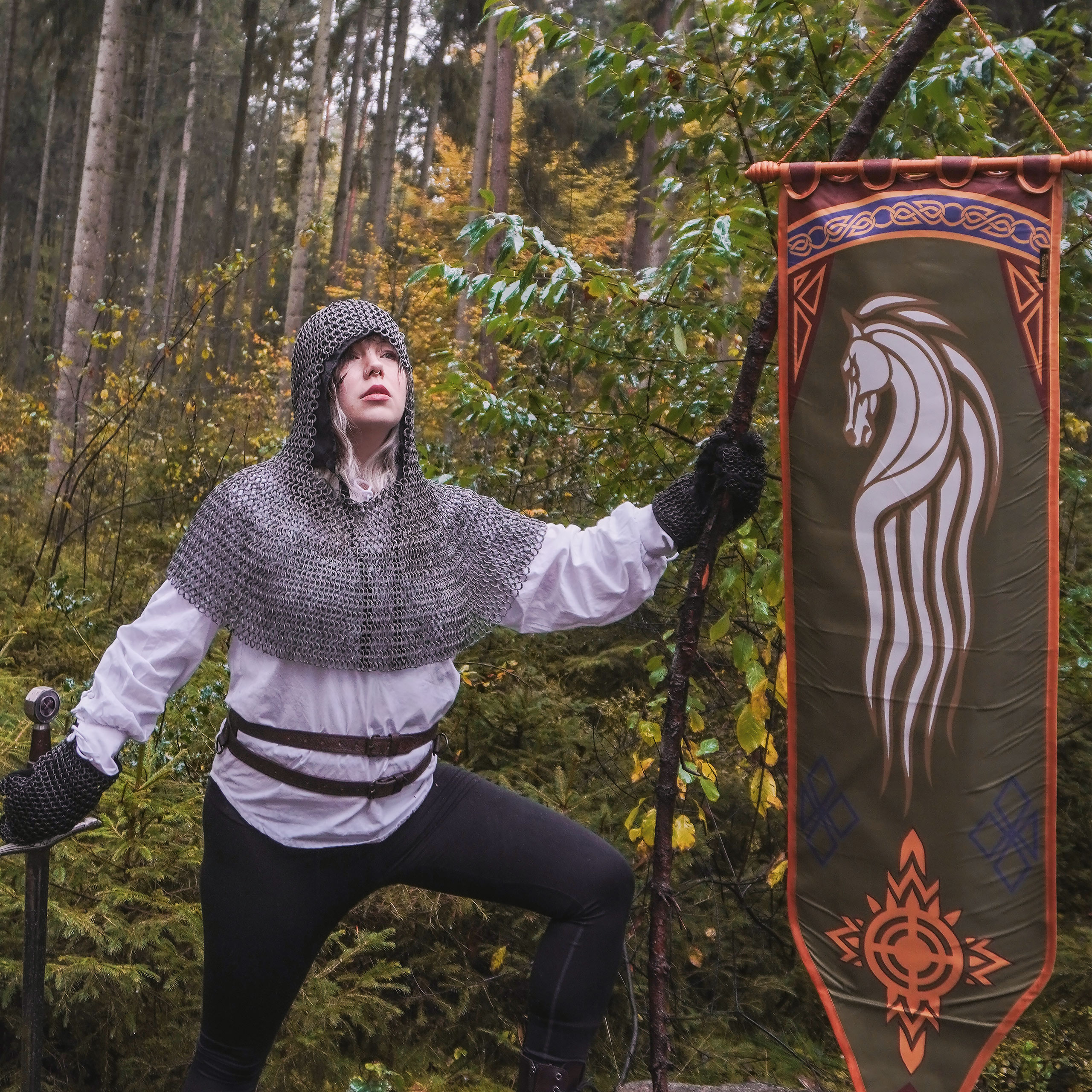 Il Signore degli Anelli - Stendardo di Rohan