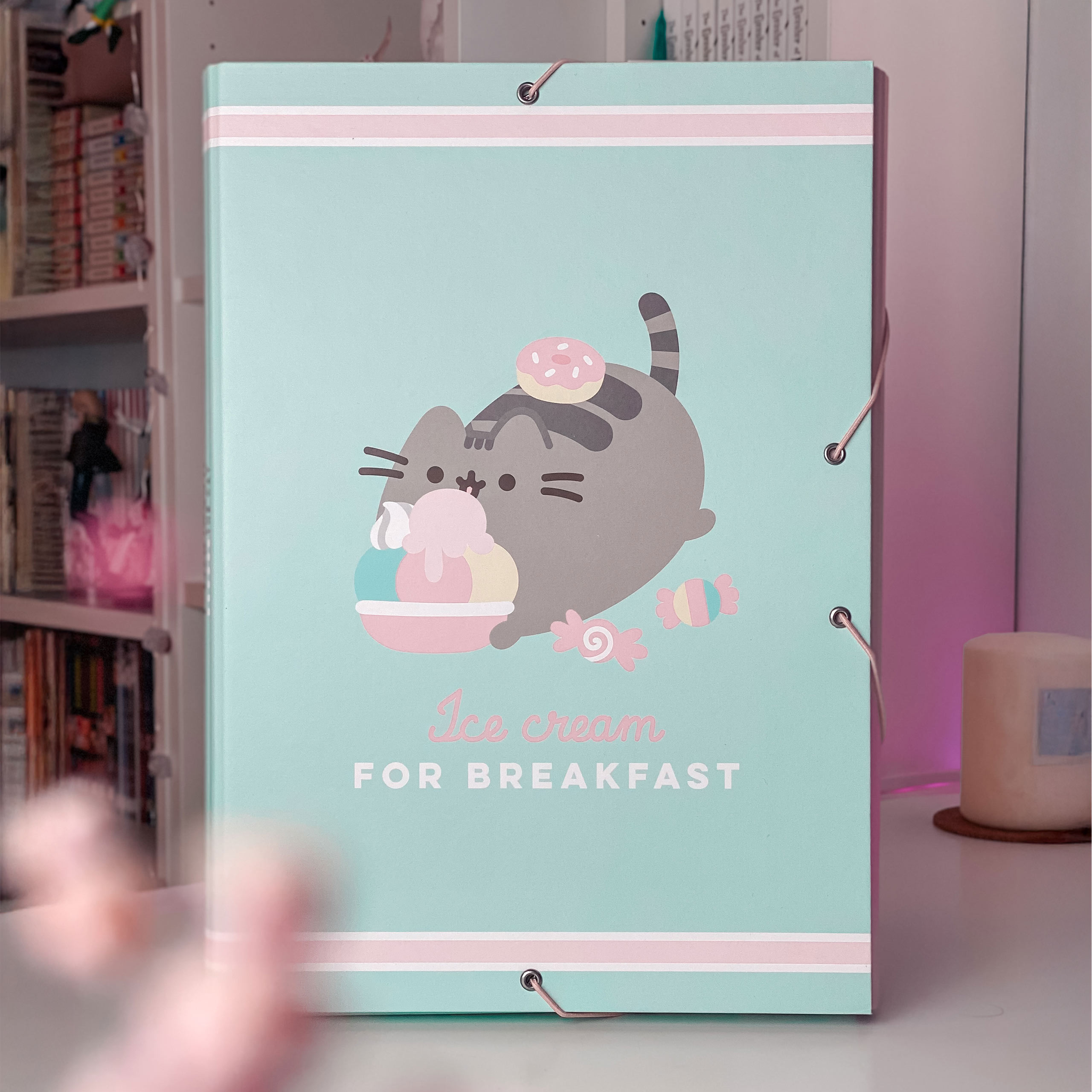 Pusheen - Ice cream Document Folder