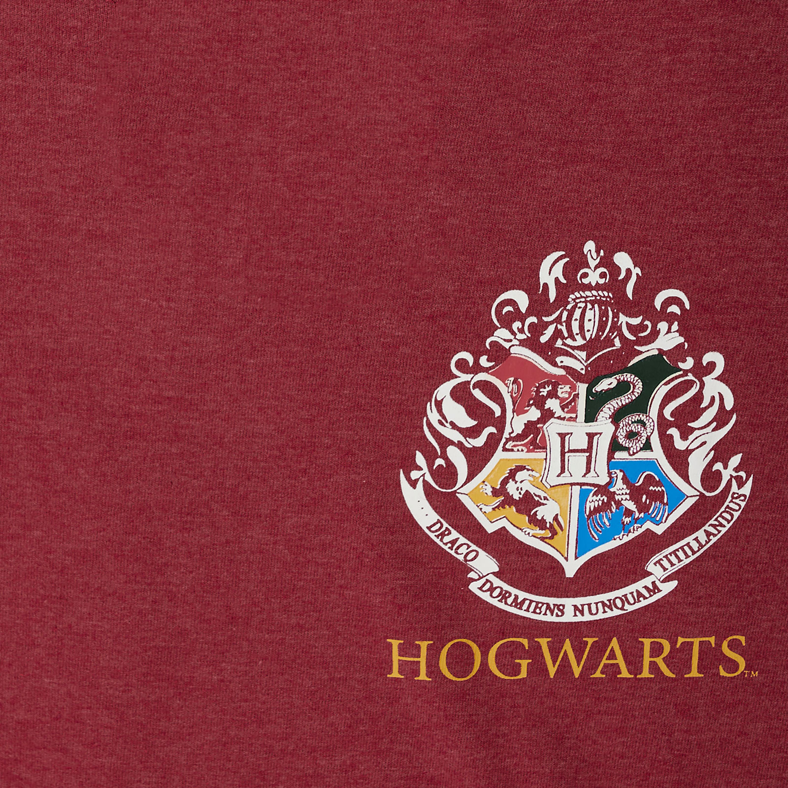 Harry Potter Gryffindor Zoeker Oversized T-shirt Dames Rood
