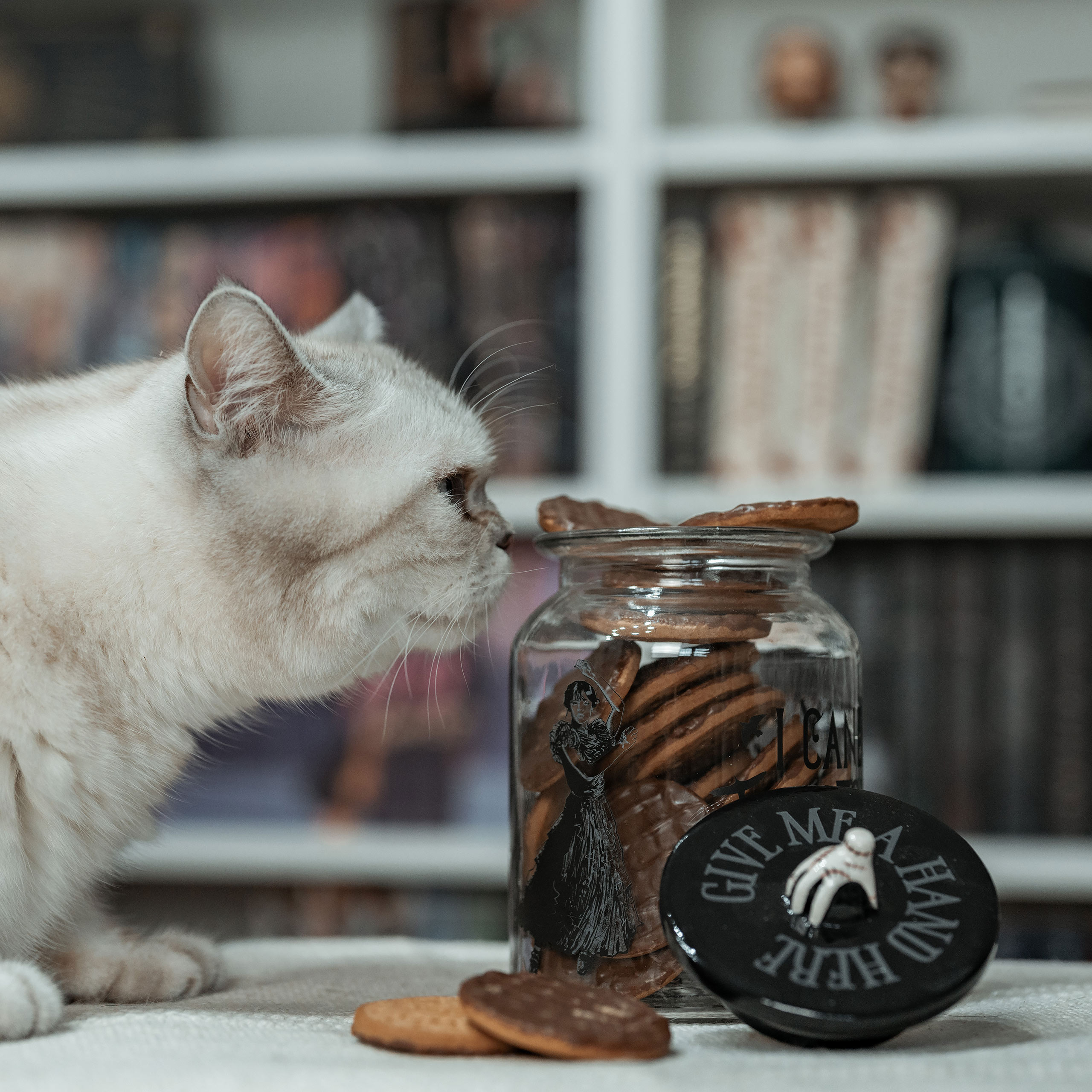 Wednesday - Cookie Jar