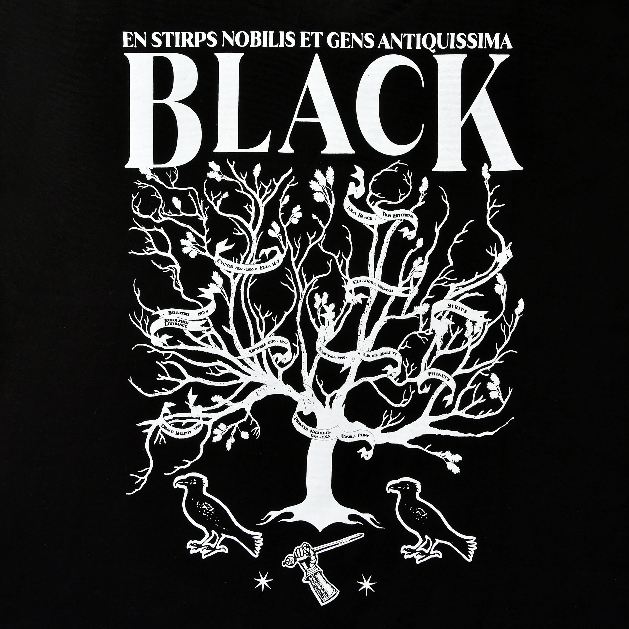 Harry Potter - T-shirt House of Black nera