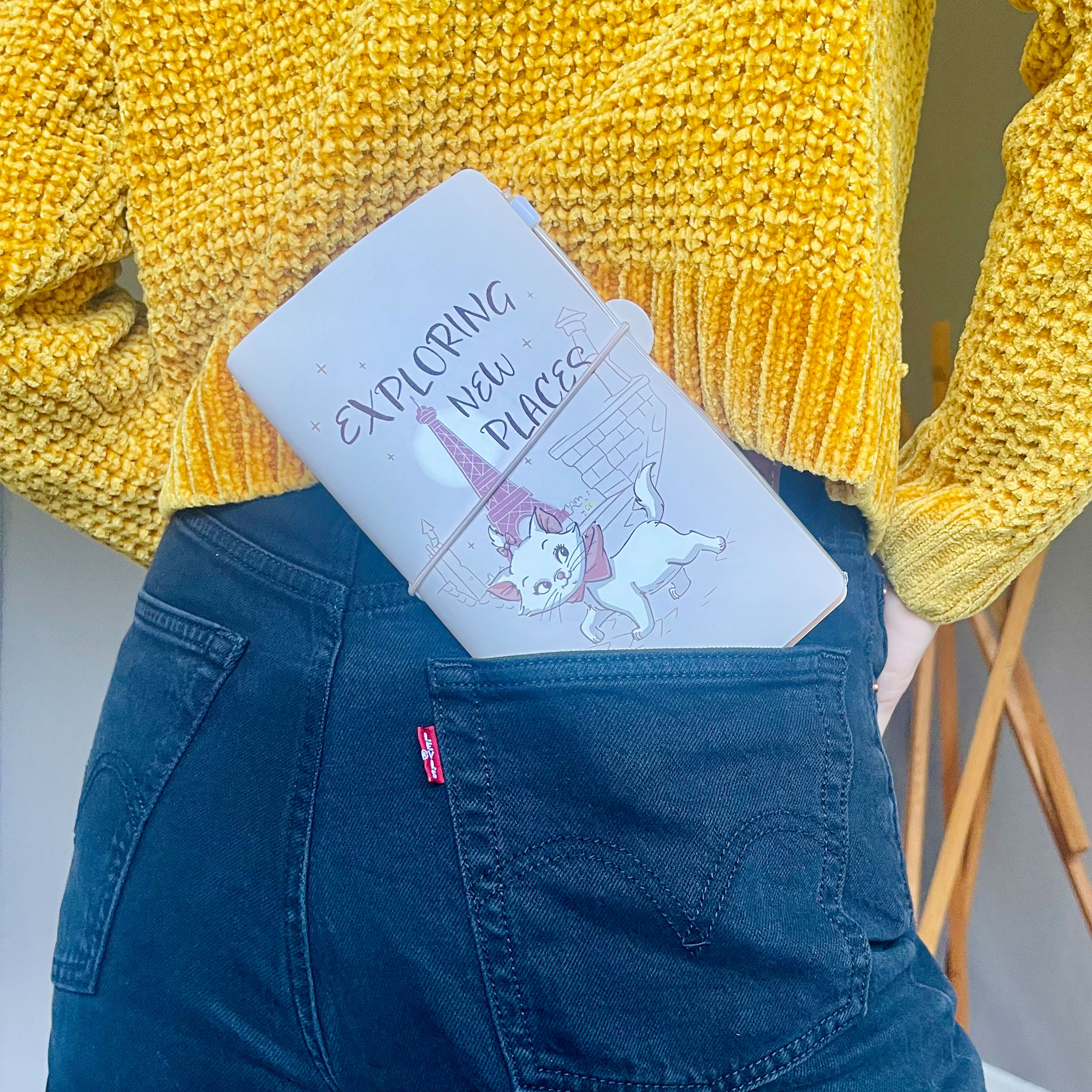 Aristocats - Bonjour Marie Notebook