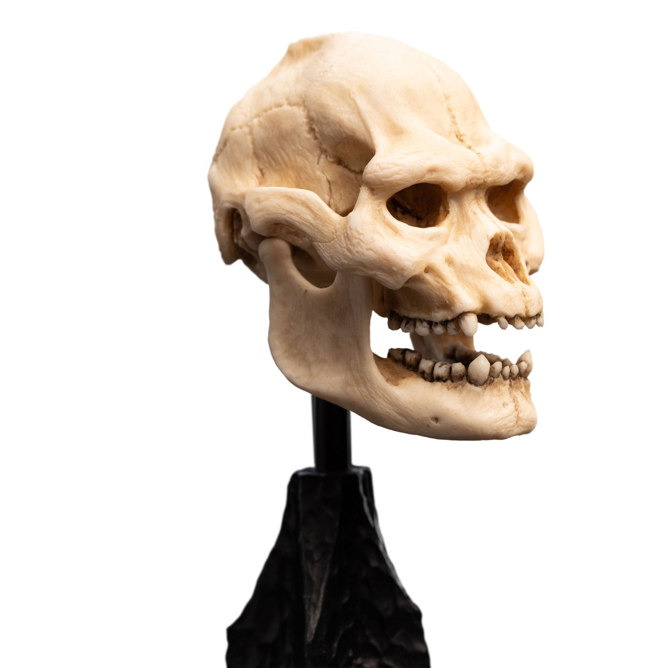 Le Seigneur des Anneaux - Mini statuette Crâne de Lurtz
