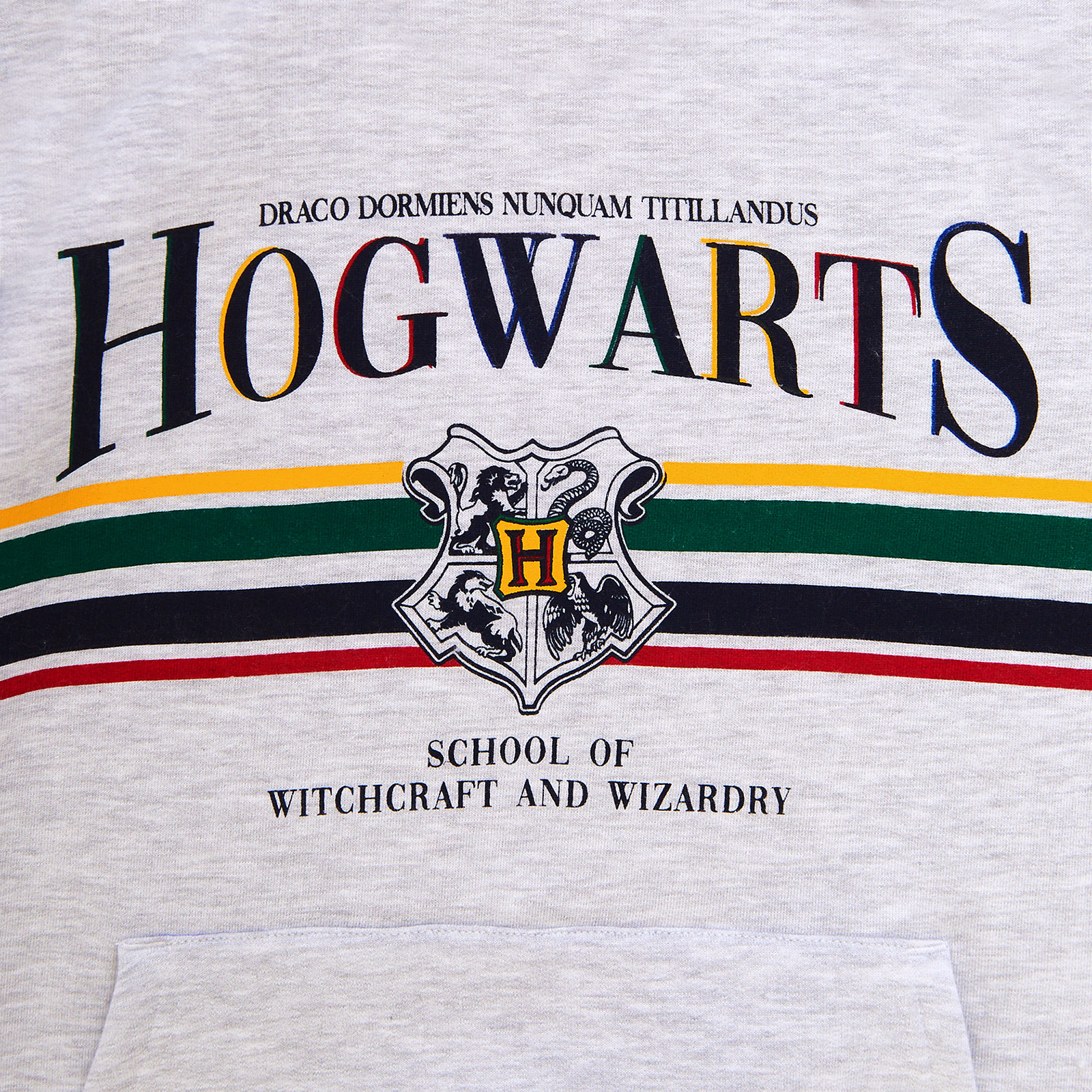 Harry Potter - Hogwarts Hoodie grijs