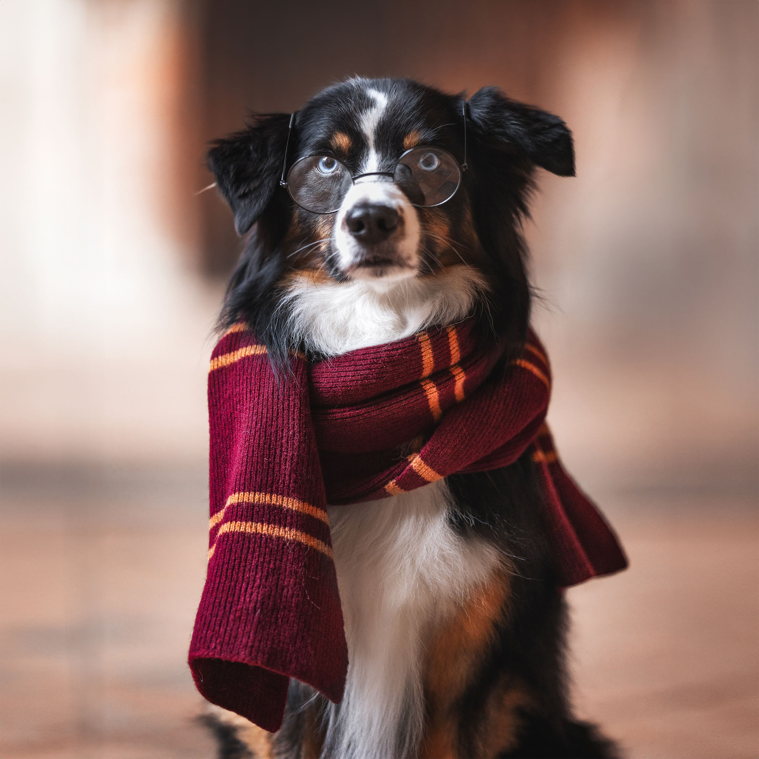 Harry Potter - Original Gryffindor Wool Scarf