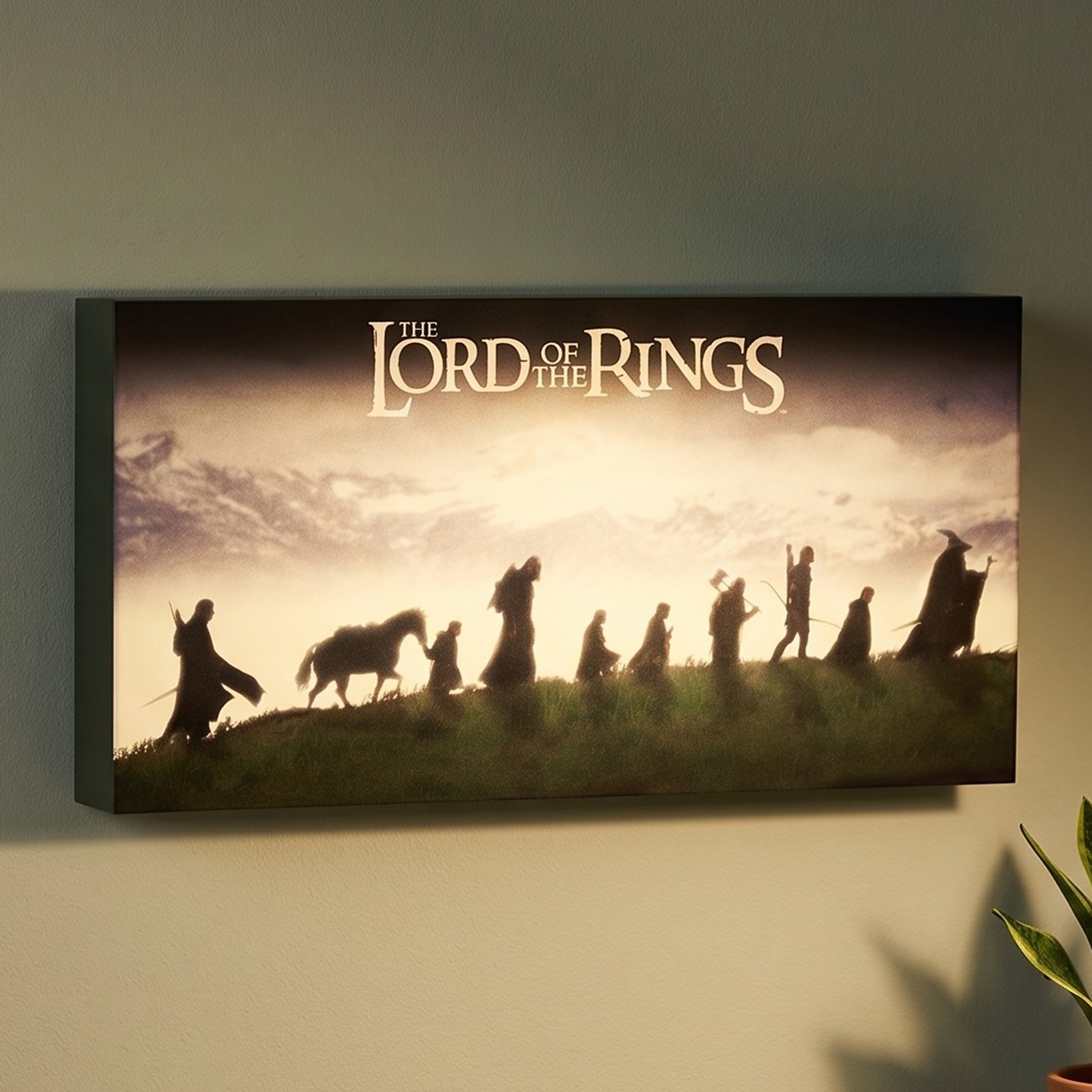 Der Herr der Ringe - Die Gefährten Wandbild mit Licht