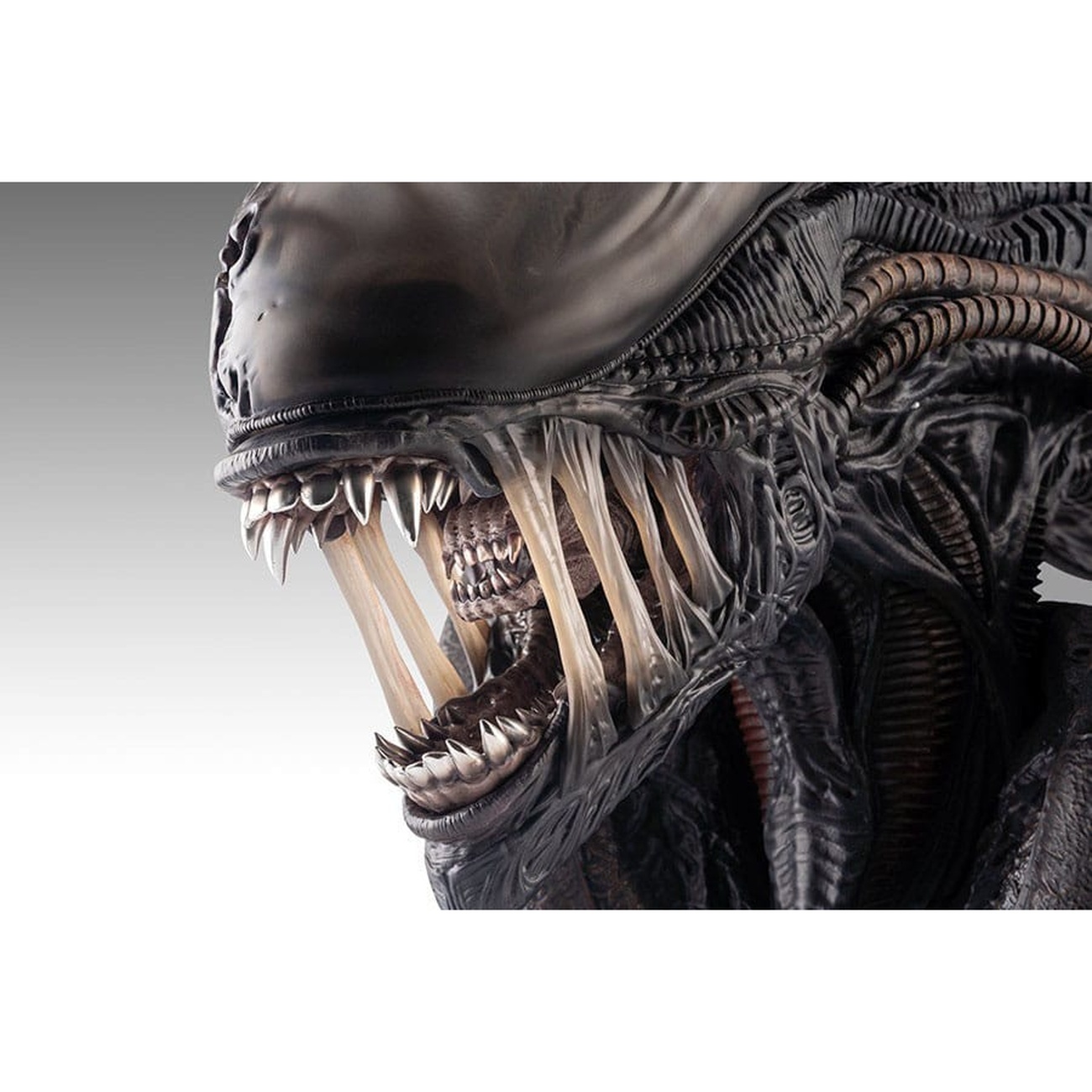 Alien Romulus Bust 1/1 Xenomorph 53 cm | Elbenwald