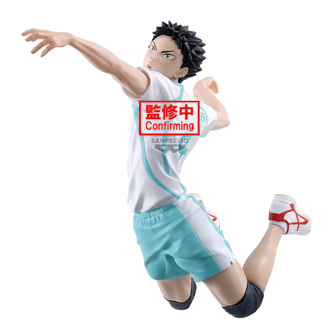 Haikyu!! – Figurine Hajime Iwaizumi Posing
