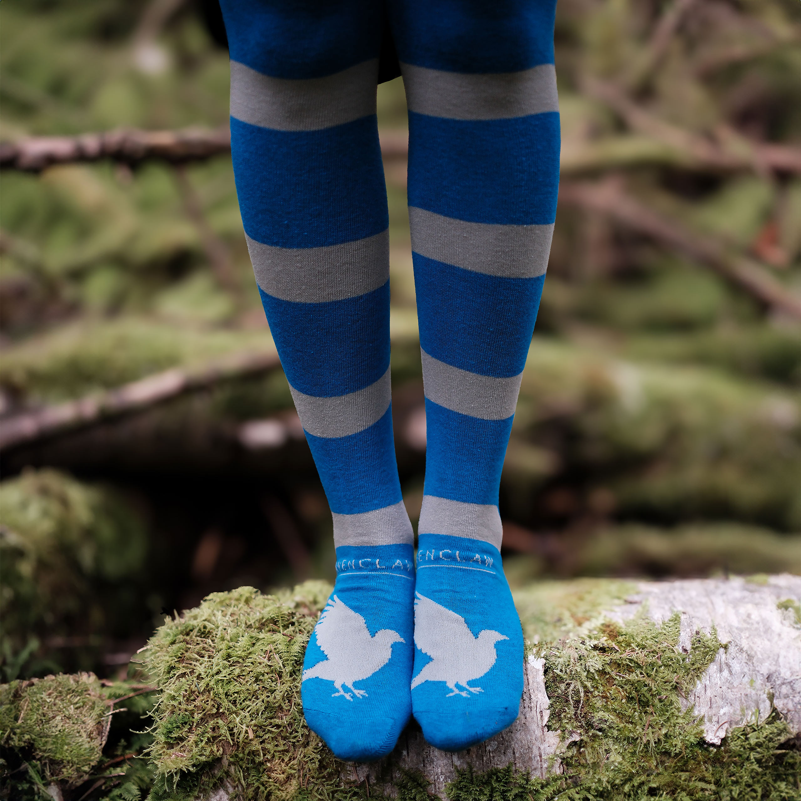 Harry Potter - Ravenclaw Overknee Socks 2-Pack