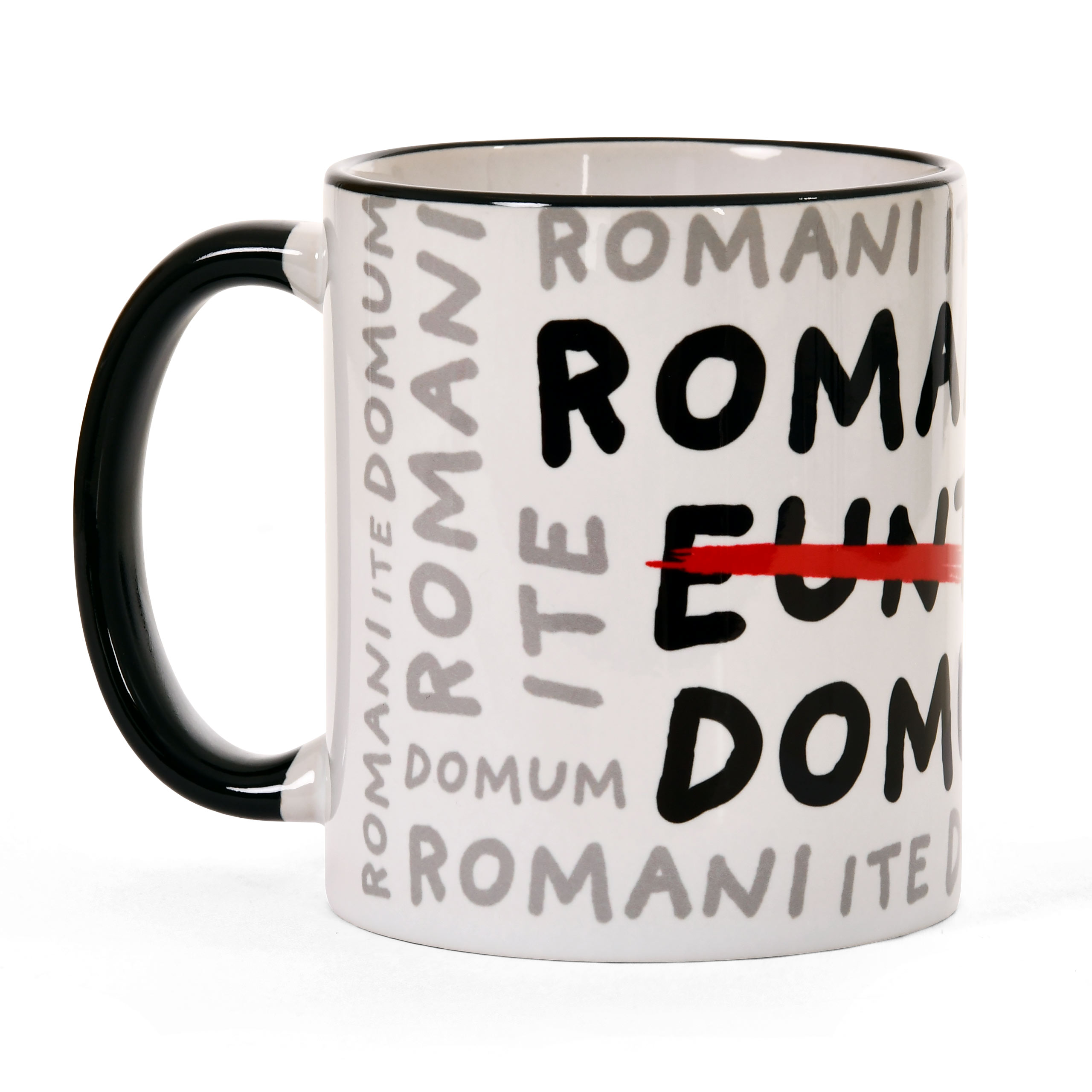Romani Ite Domum Mug for Monty Python Fans