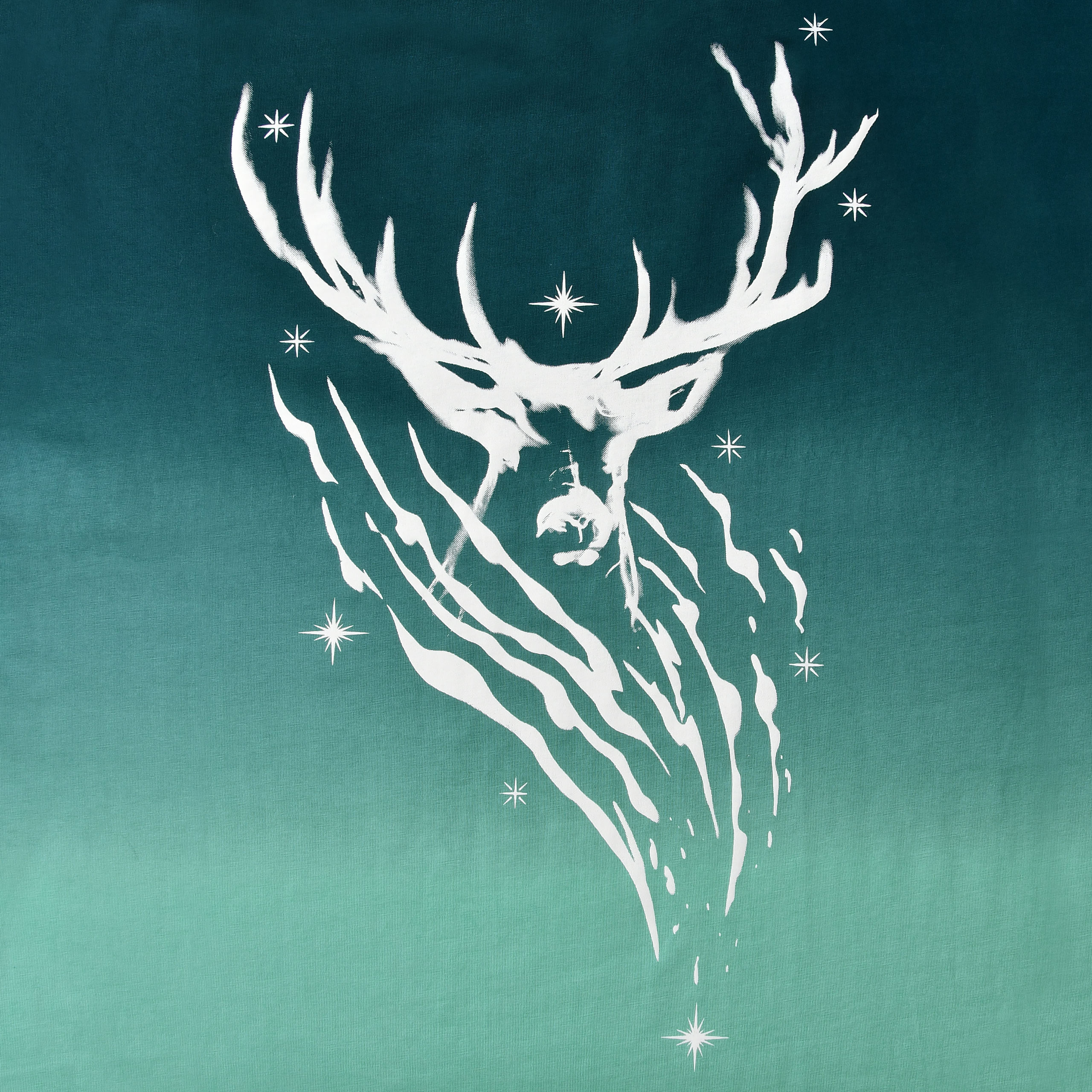 Harry Potter - Expecto Patronum T-shirt