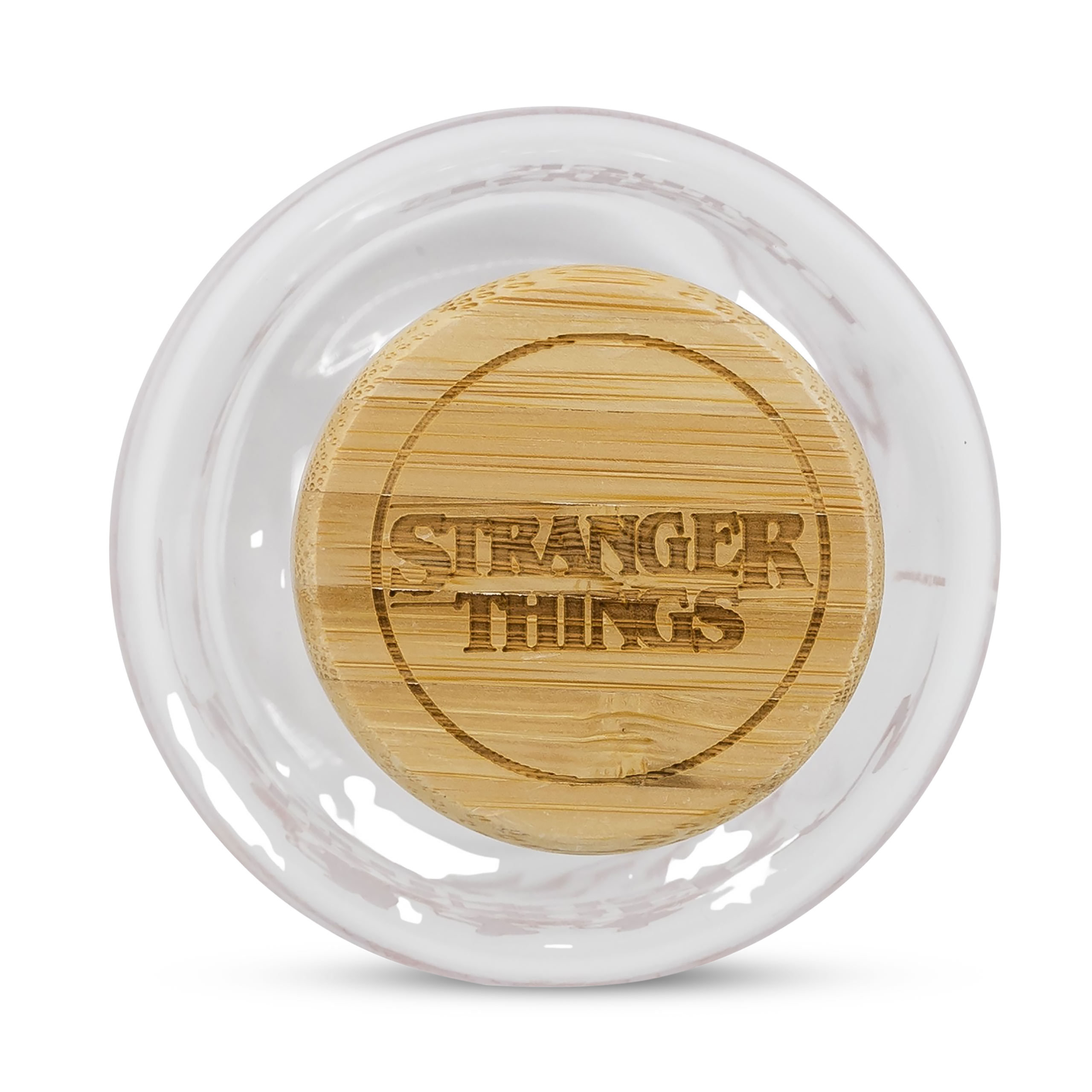 Stranger Things - Vast in de Upside Down Waterfles