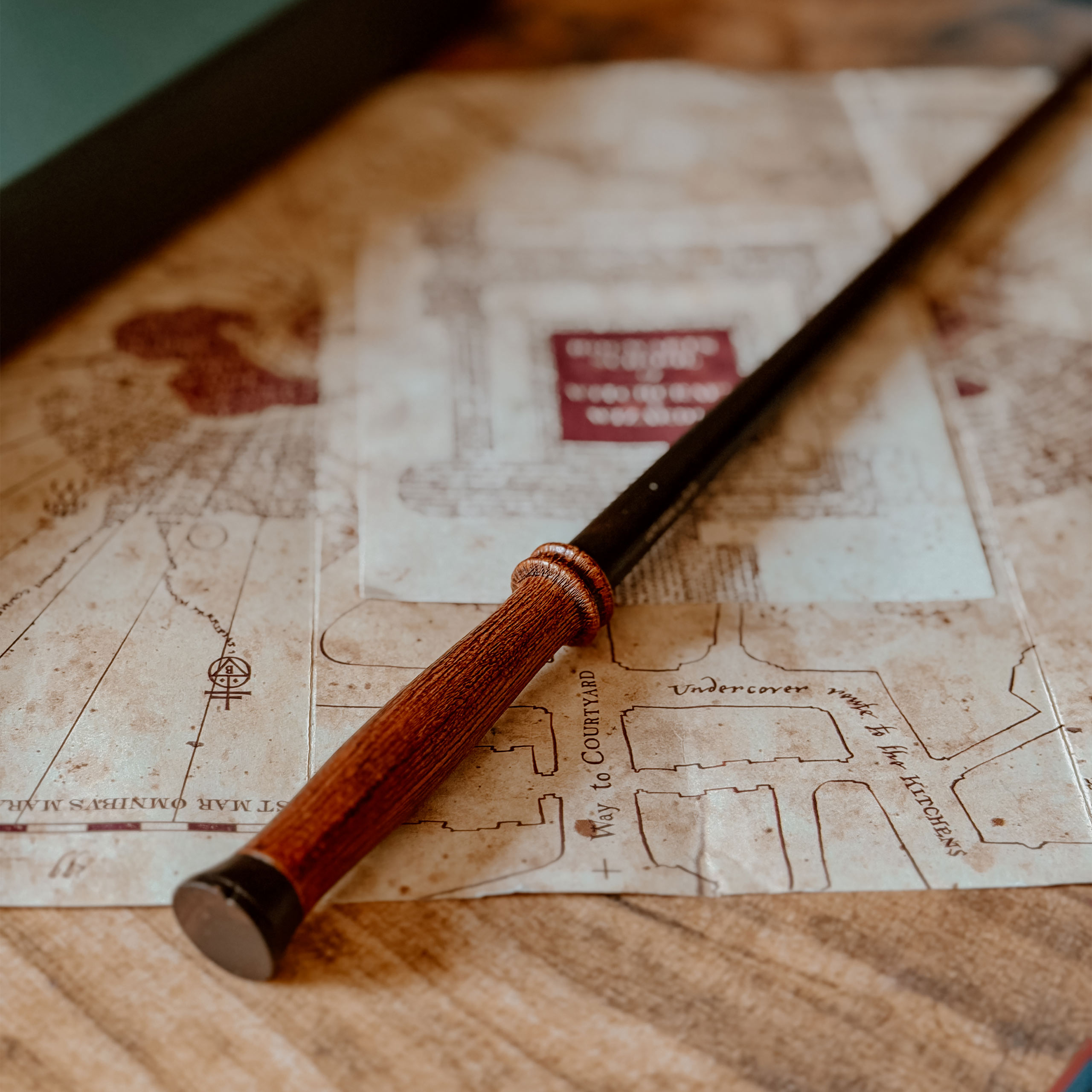 Harry's Eerste Toverstaf - Harry Potter First Wands Collection