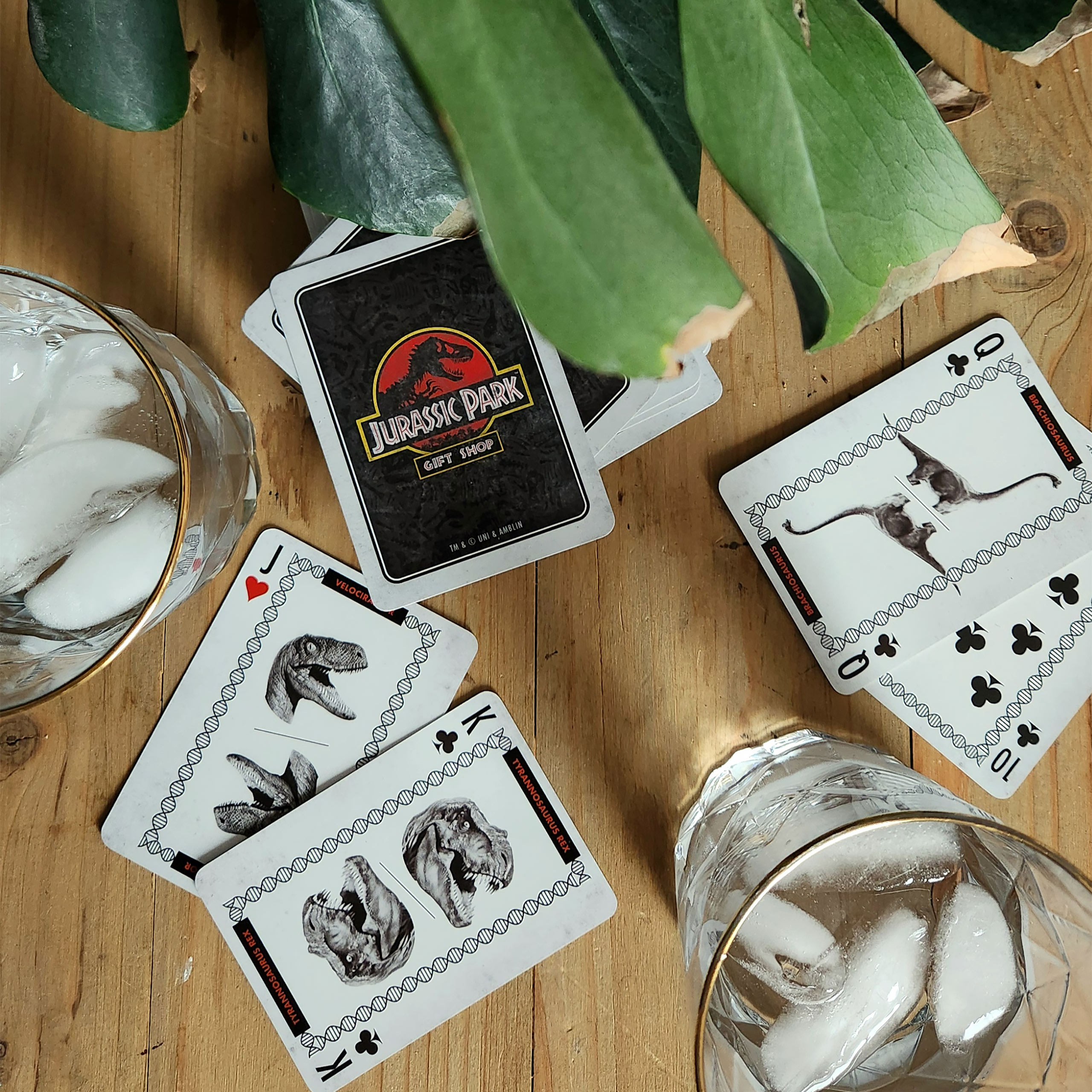 Jurassic Park - Cartes à jouer Isla Nublar