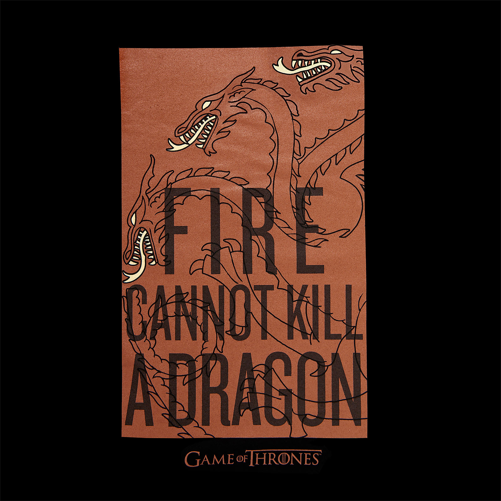 Game of Thrones - Vuur Kan geen Draak Doden Targaryen T-Shirt zwart