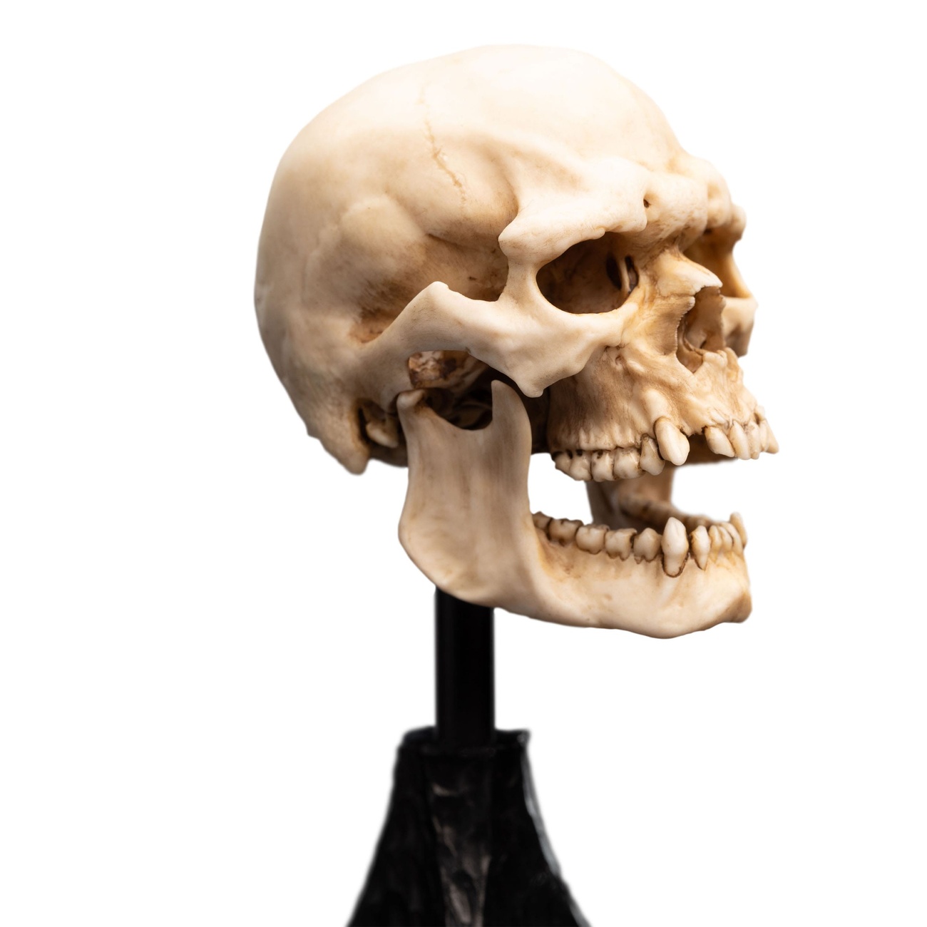 Sagan om Ringen - Skalle av en Mordor-Orch Mini Staty