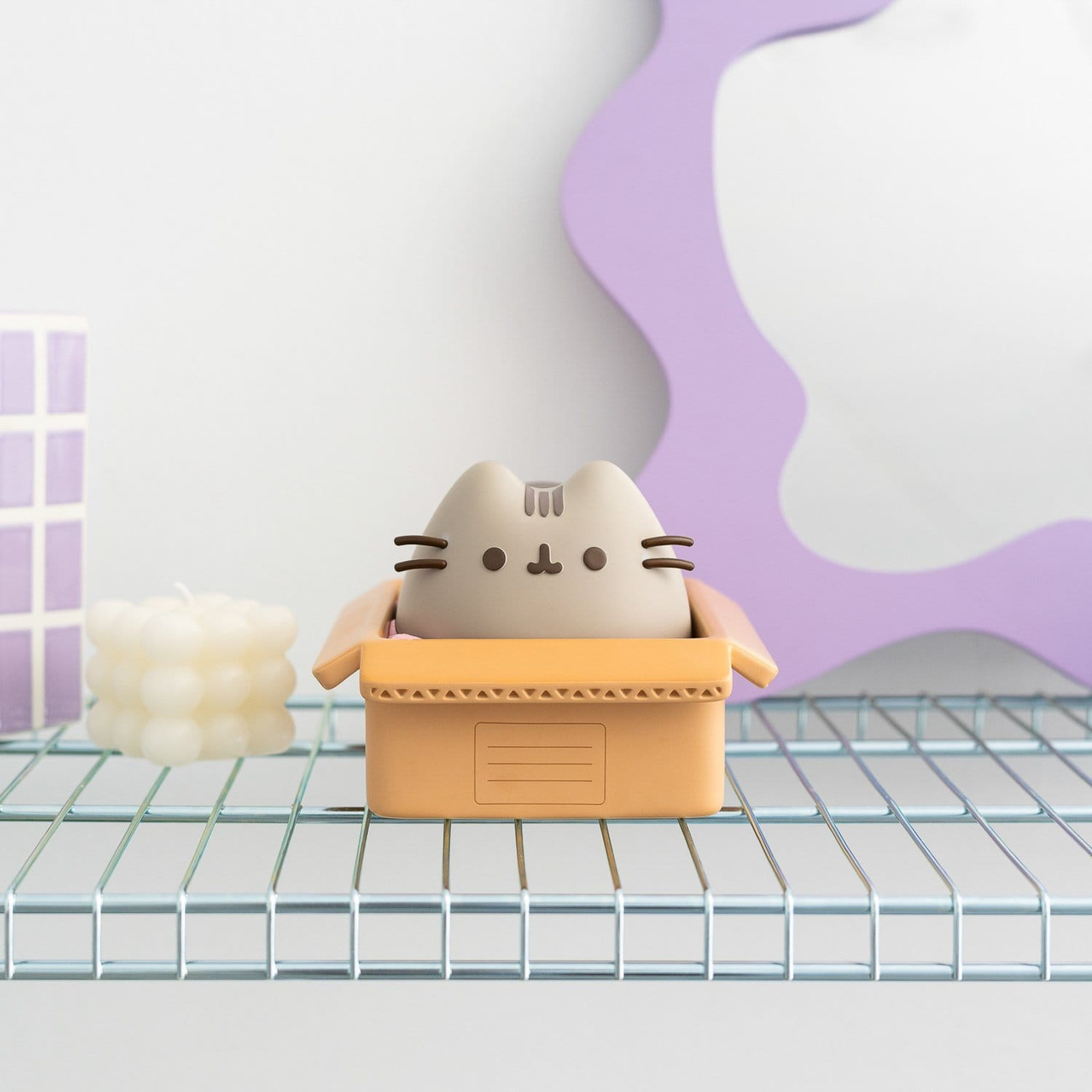 Pusheen Money Box