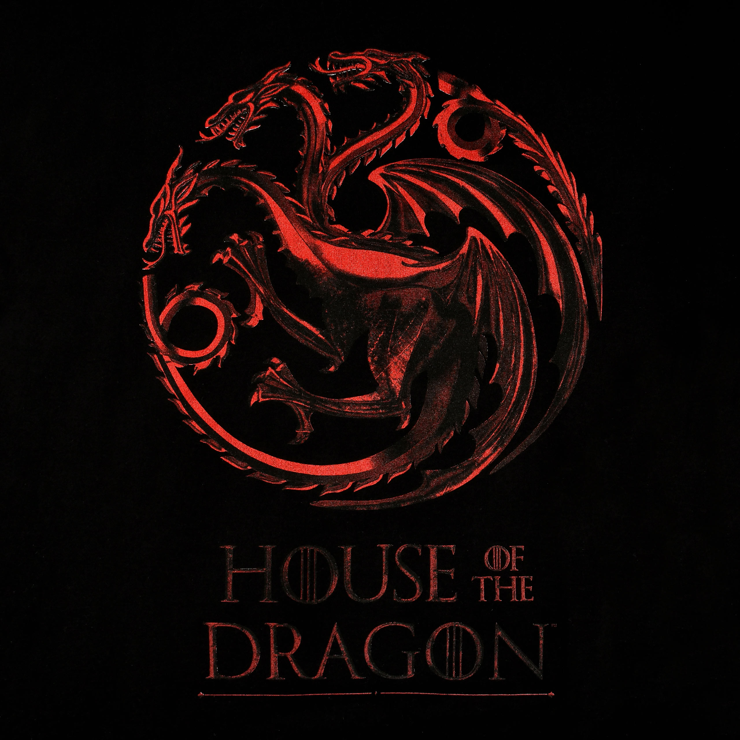 Huis van de Draak - Logo T-shirt zwart