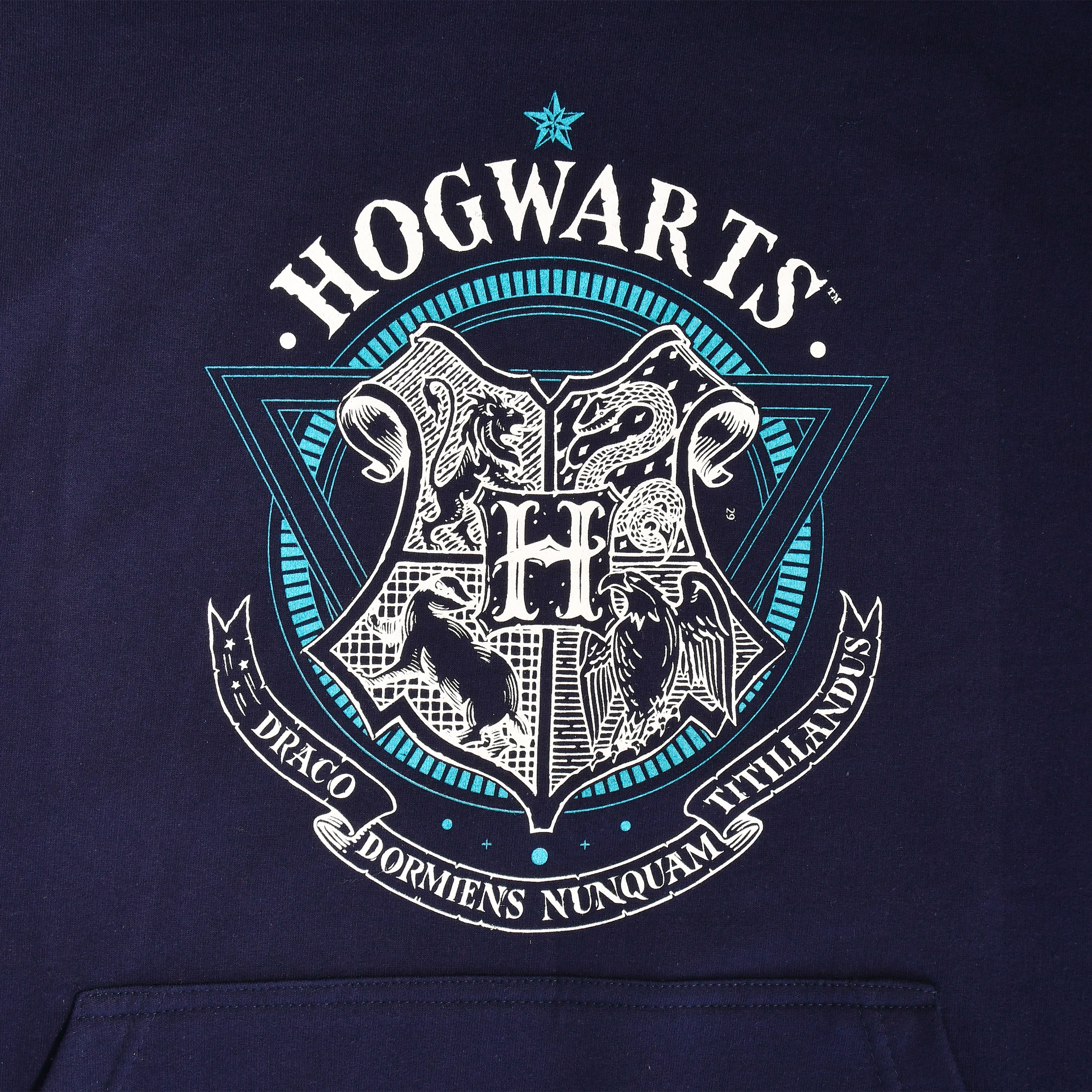 Harry Potter - École de sorcellerie de Hogwarts sweat à capuche bleu