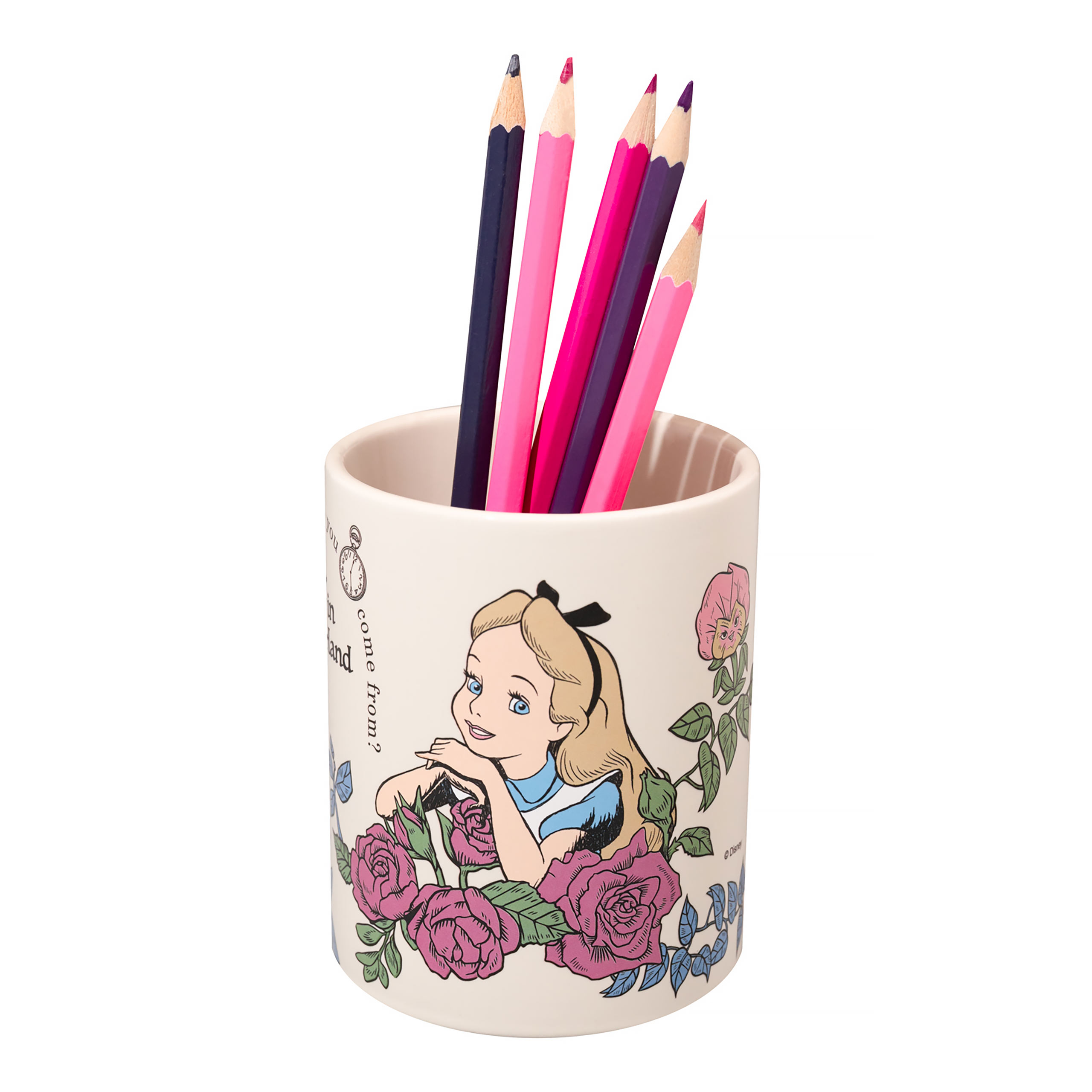 Alice in Wonderland - Flower Pen Holder