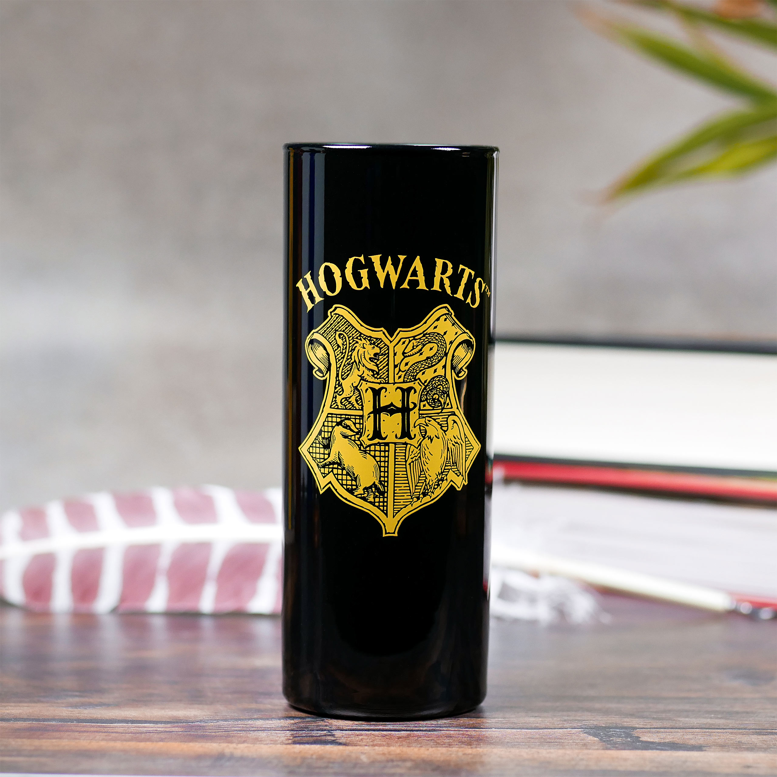 Hogwarts Häuser Gläserset 5-teilig - Harry Potter